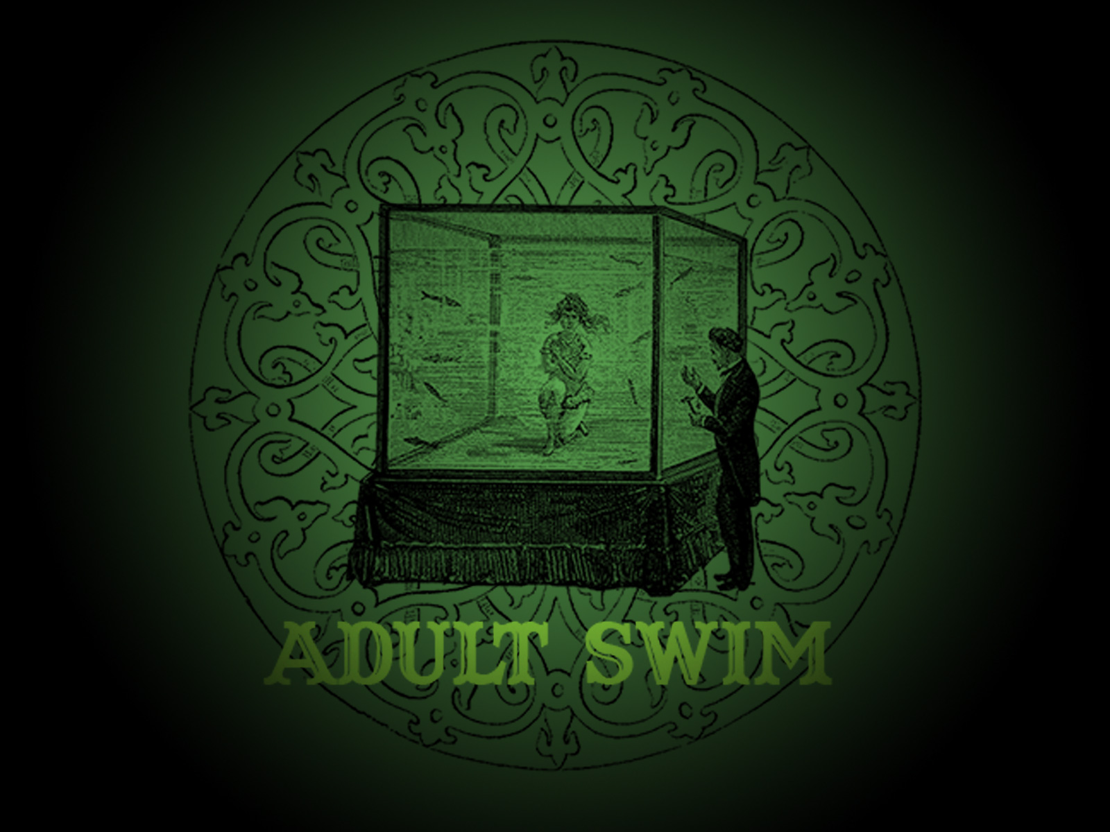 Adult Swim iPhone Background