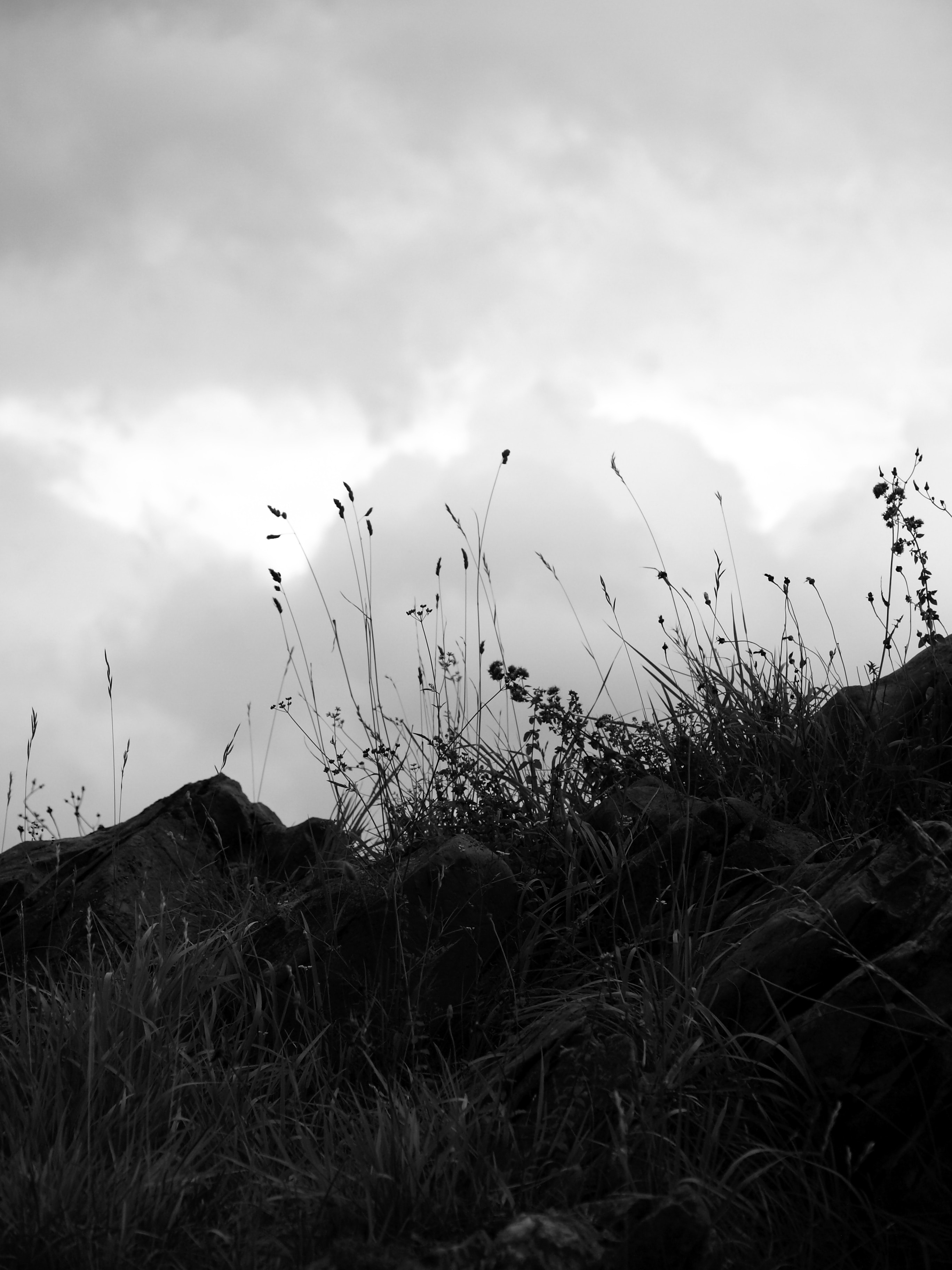 clouds, chb, nature, grass, stones, sky, bw, hill 1080p