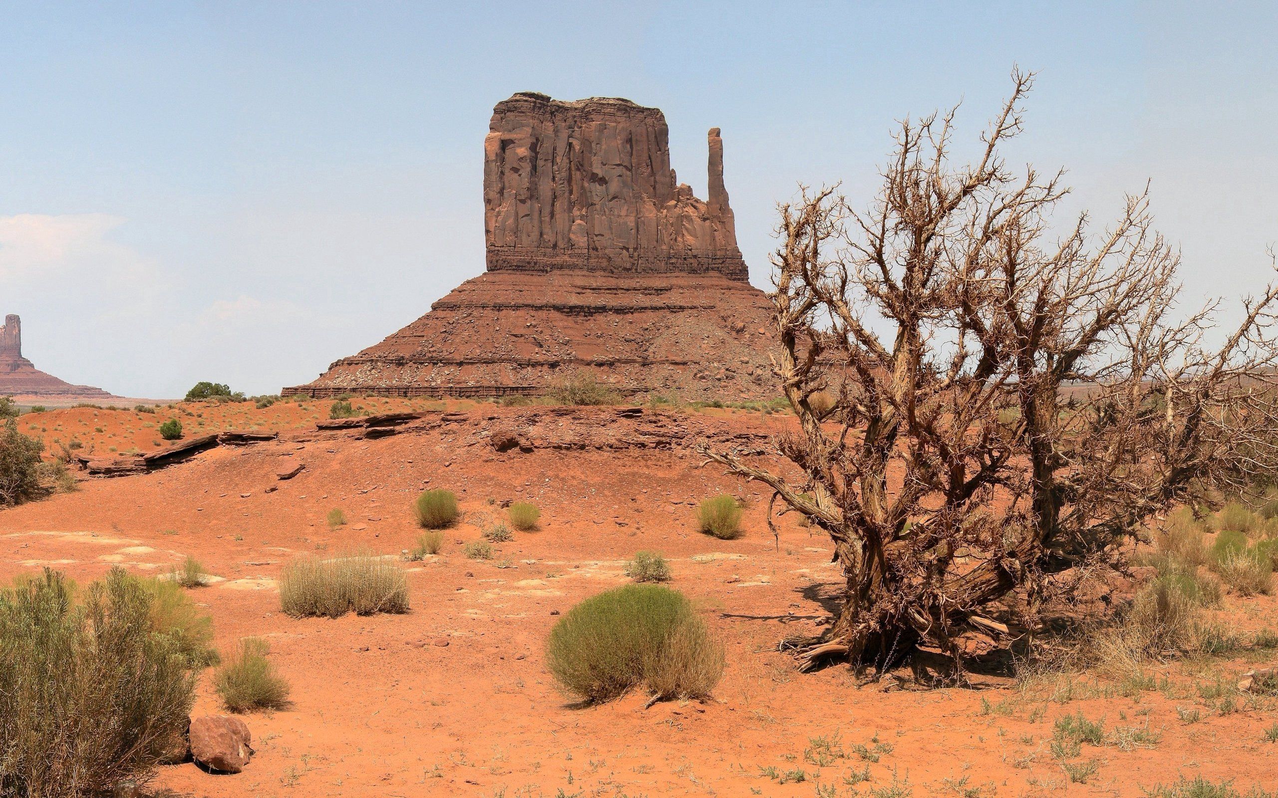 canyon, desert, nature, vegetation, drought HD wallpaper