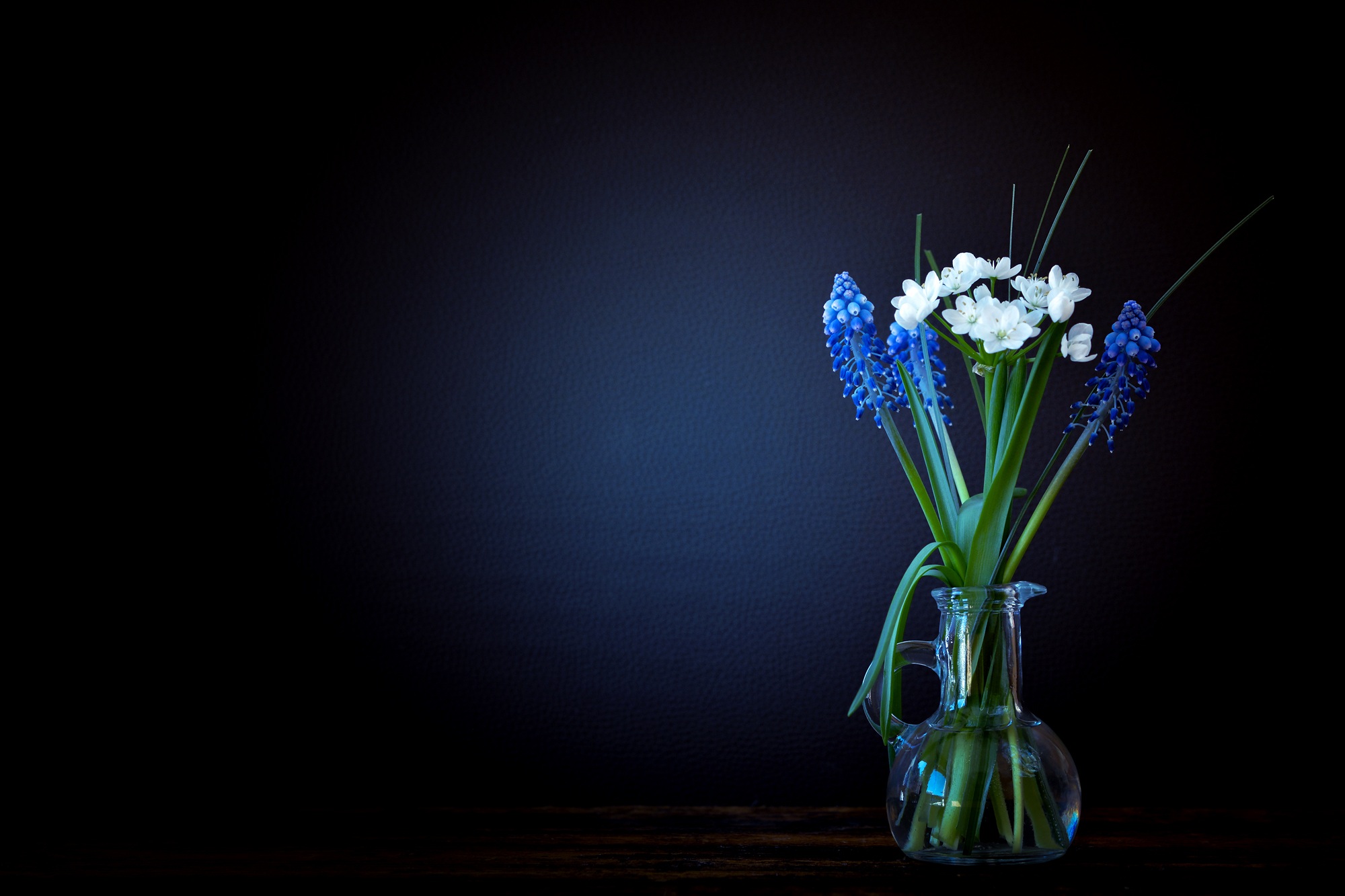751060 скачать картинку гиацинт, ваза, стекло, натюрморт, свет, сделано человеком, цветок, синий - обои и заставки бесплатно