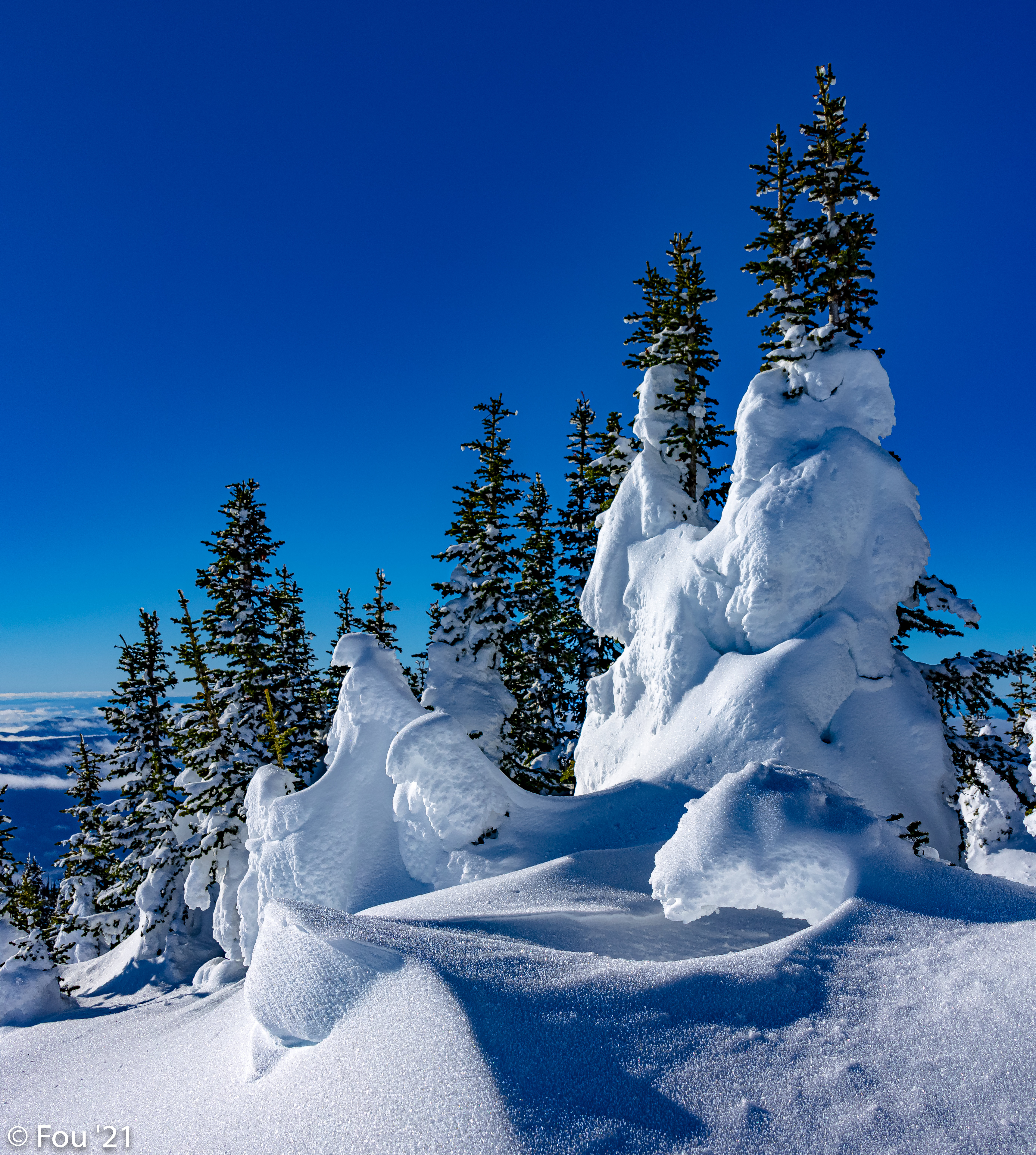 winter, nature, trees, snow, drifts