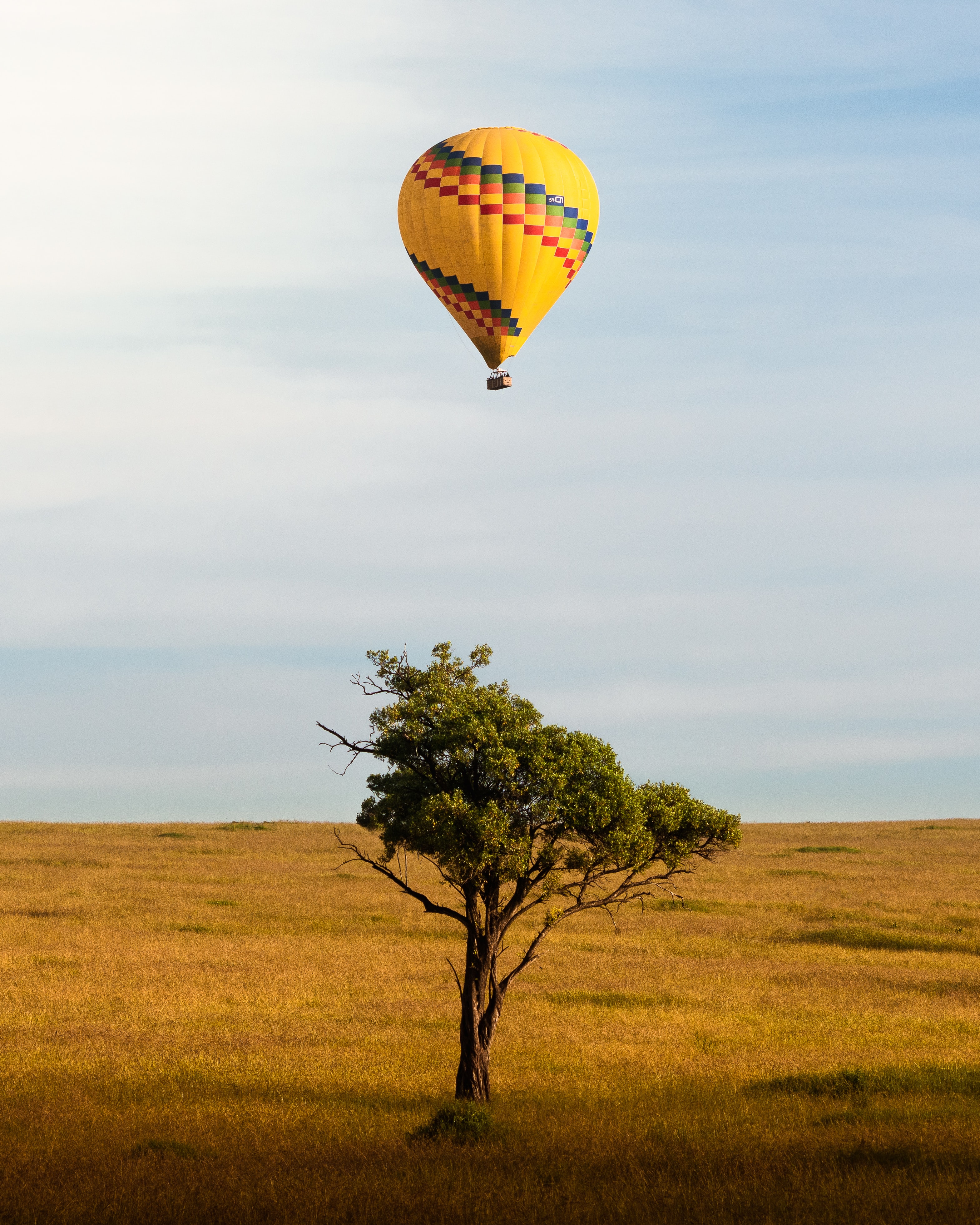 131458 скачать обои воздушный шар, полет, горизонт, разное, дерево - заставки и картинки бесплатно