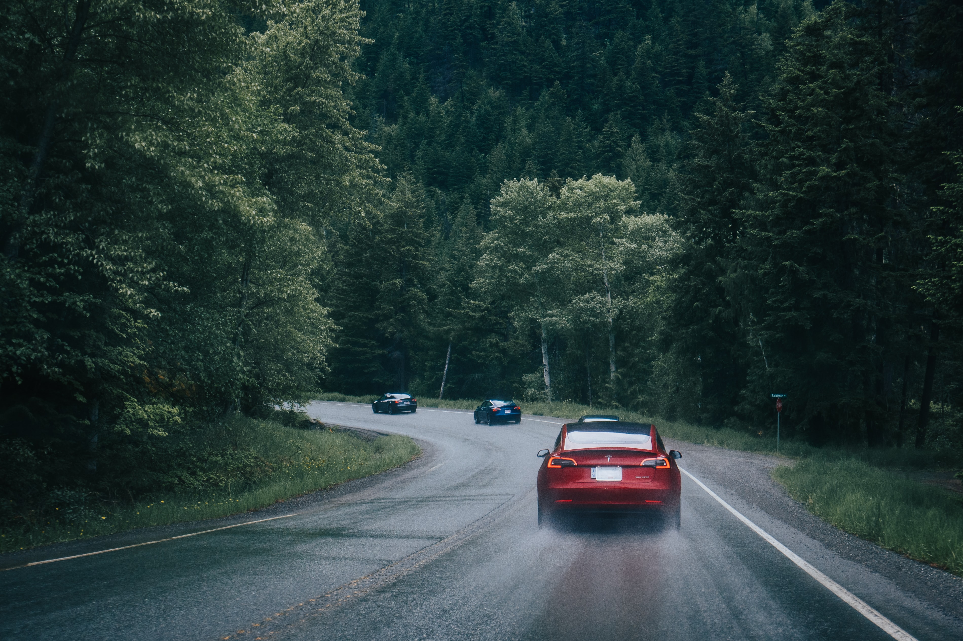 cars, auto, road, forest, chase download HD wallpaper