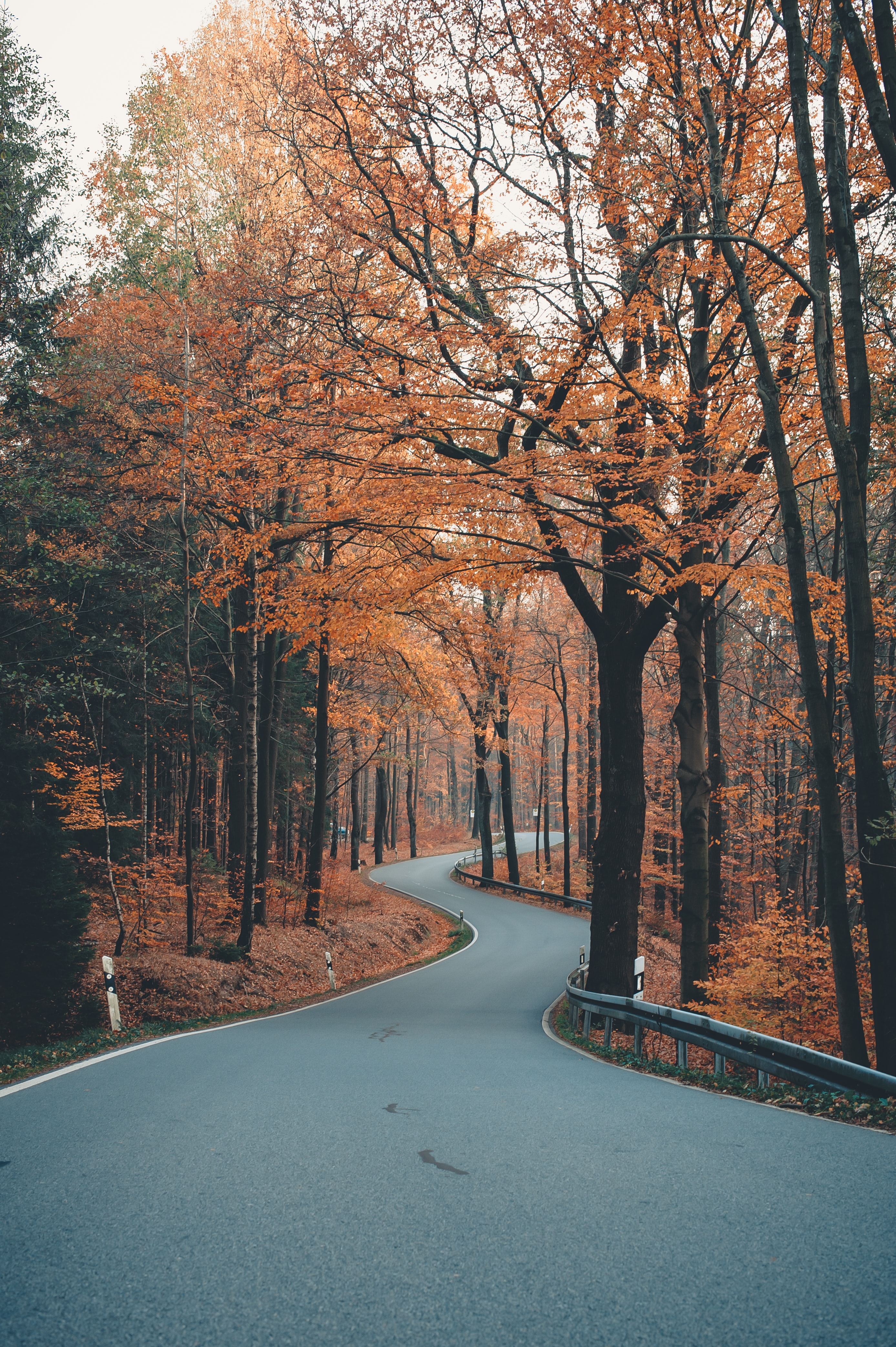 Download mobile wallpaper Autumn, Alley, Winding, Nature, Trees, Sinuous, Road for free.