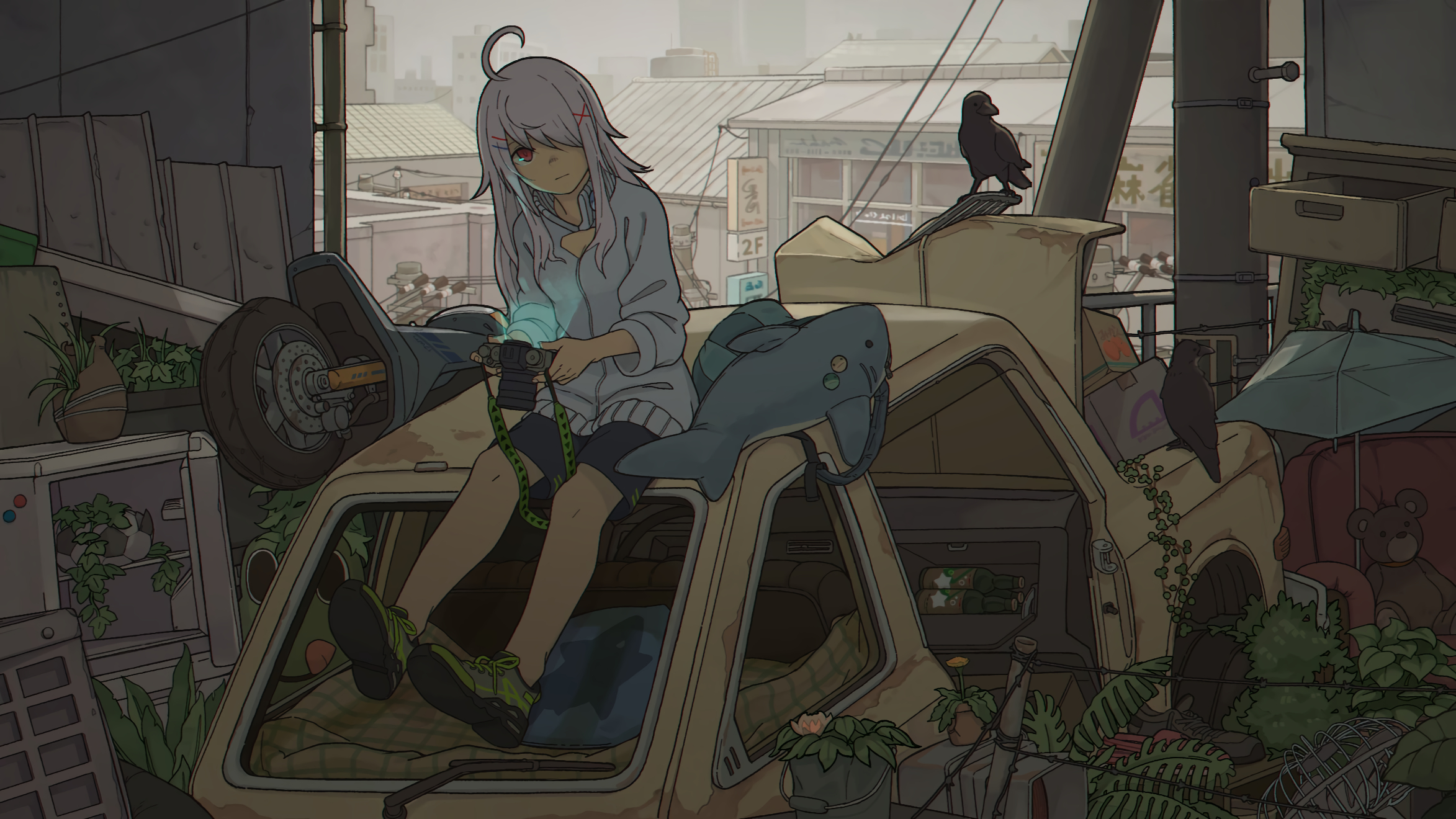 girl, anime, camera, crow, post apocalyptic, red eyes, sneakers, white hair lock screen backgrounds