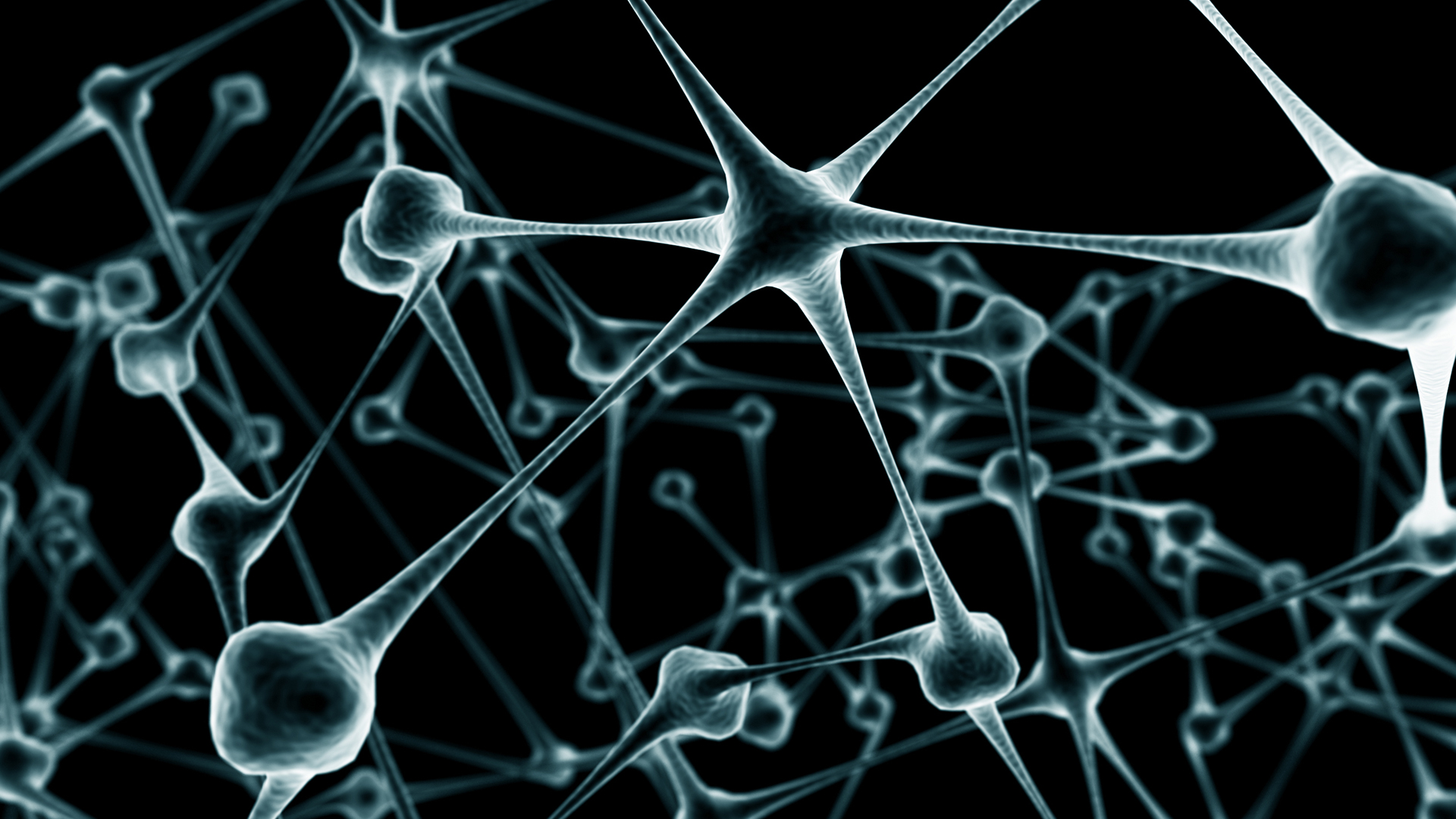 Cool Neuron HD Wallpaper