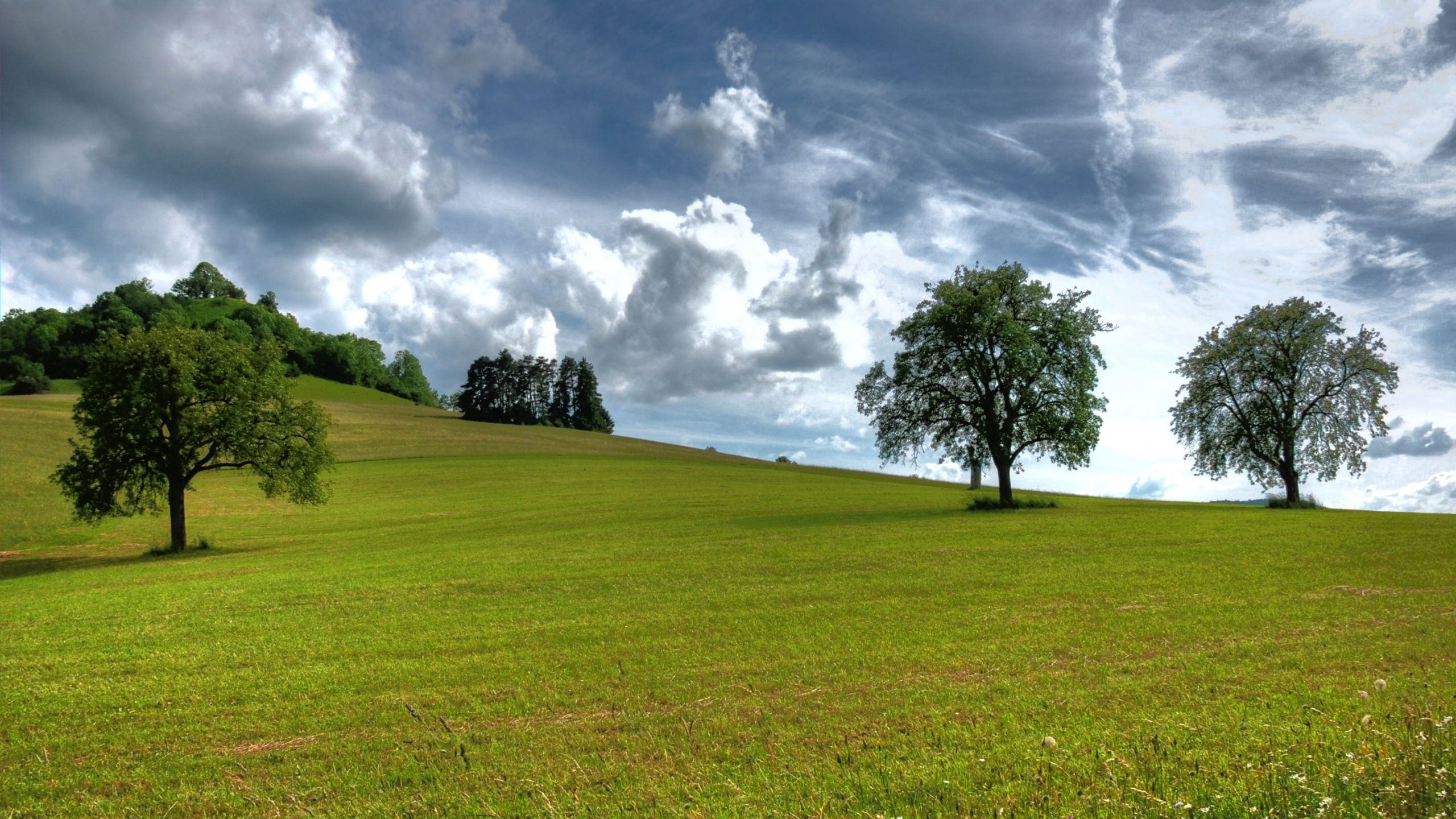 119282 скачать картинку лето, природа, деревья, трава, небо, облака, воздушные - обои и заставки бесплатно