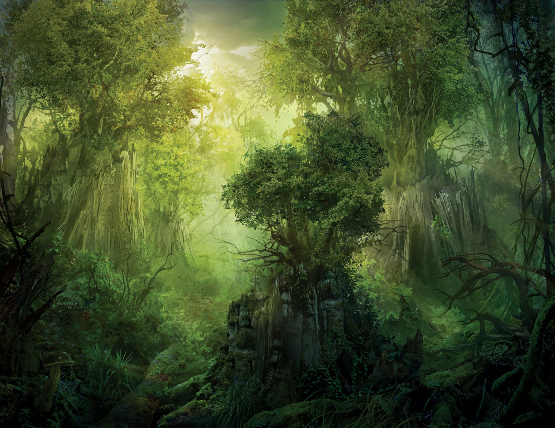 1077691 baixar papel de parede jogos, magia: o encontro, floresta, fantasia, árvore - protetores de tela e imagens gratuitamente