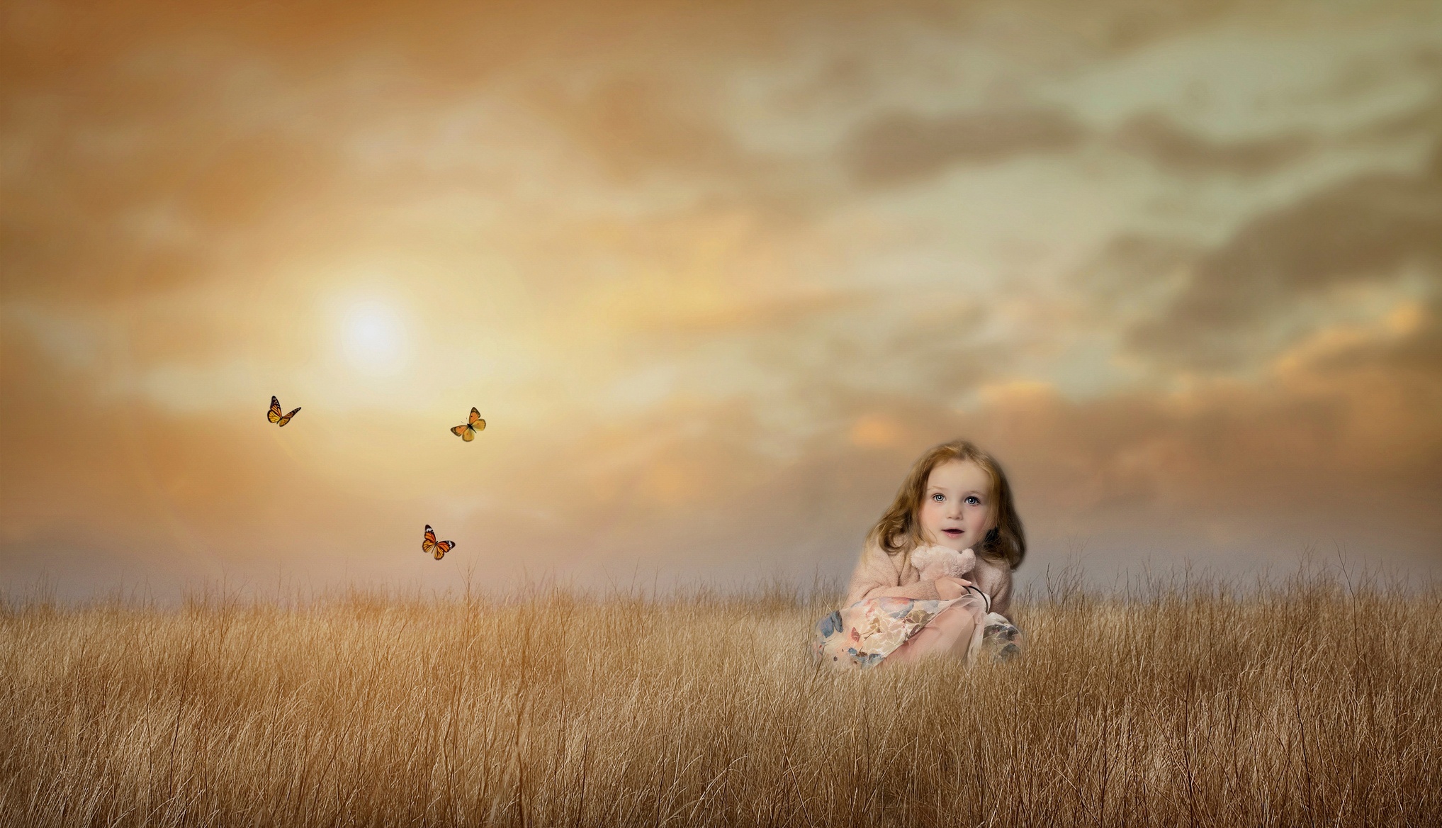 Картинка поле и небо для детей