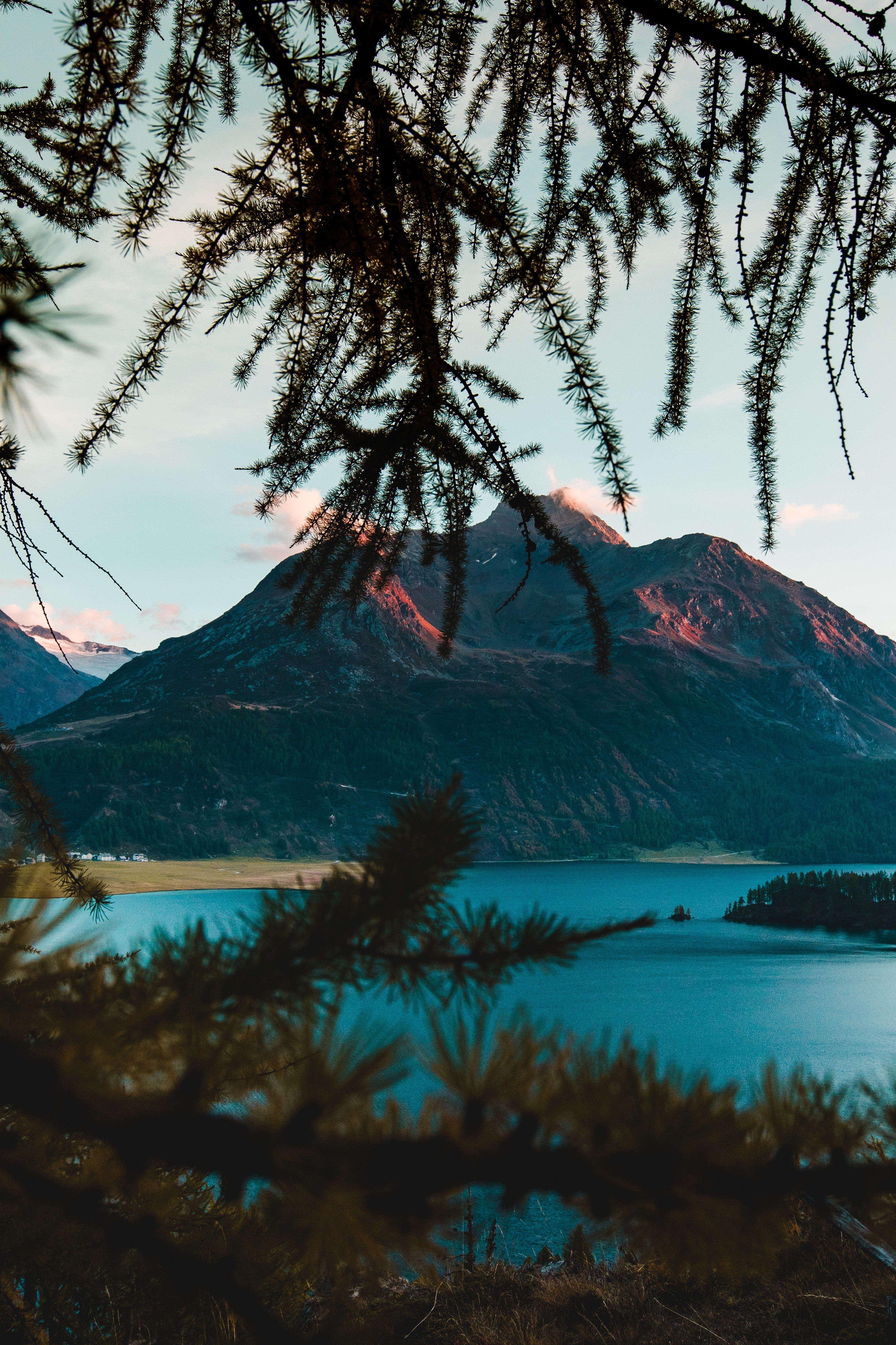 Laden Sie das Geäst, Zweige, Natur, See, Schweiz, Mountains-Bild kostenlos auf Ihren PC-Desktop herunter