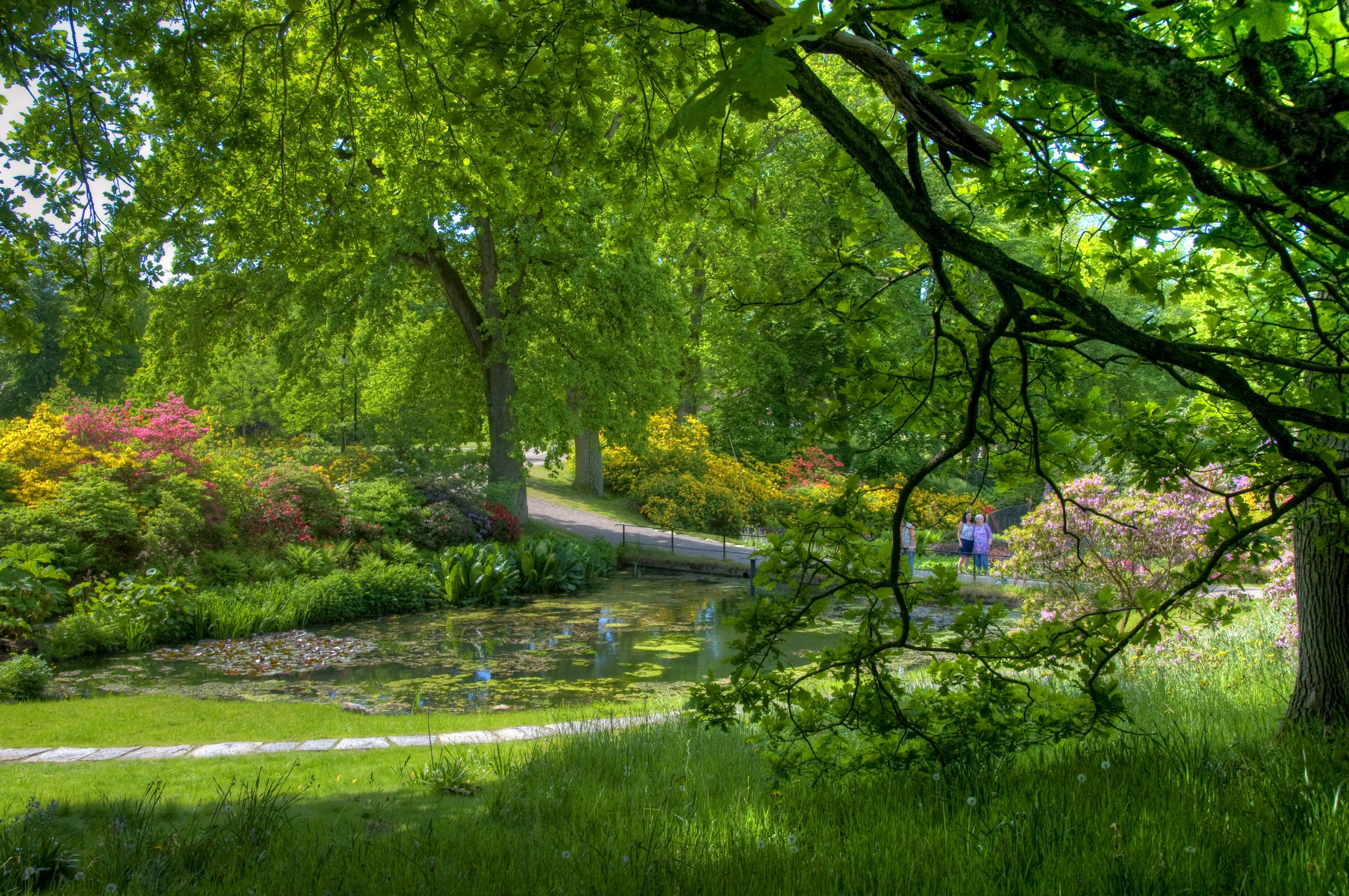 garden, green, people, nature, trees, pond, serenity Full HD