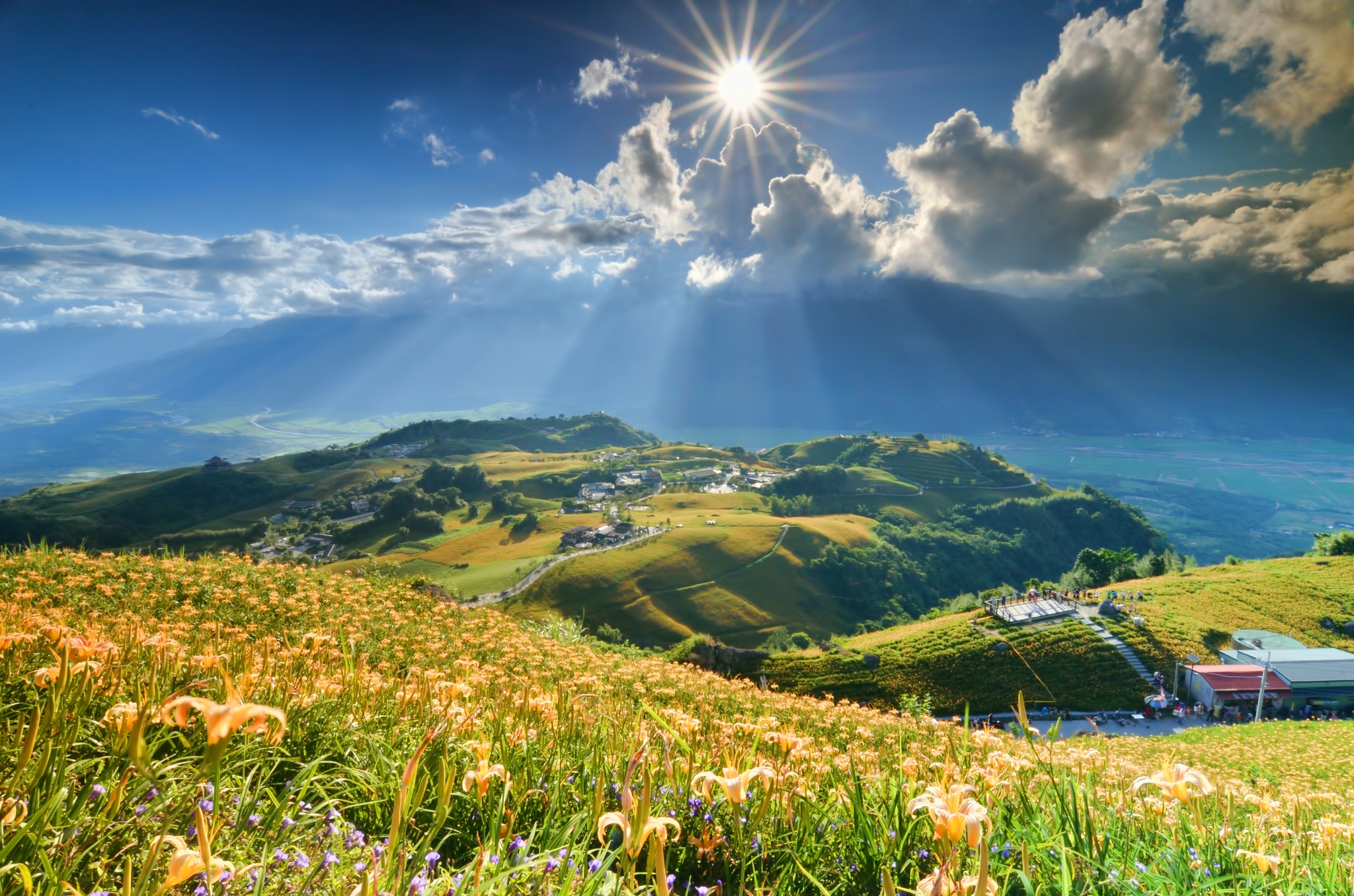 wallpapers clouds, nature, slope, rays, flowers, mountains, sun, lilies, beams