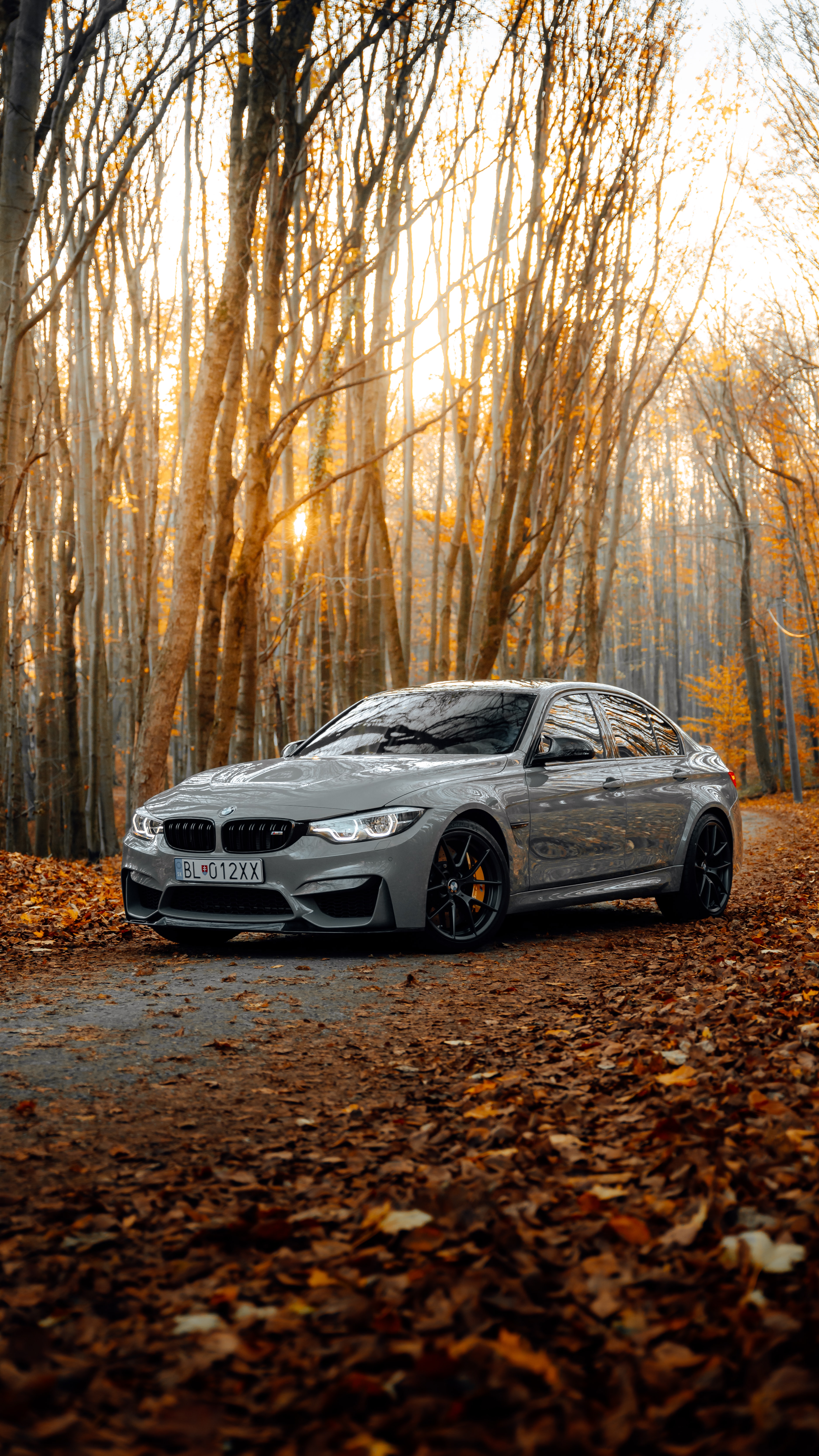 bmw, cars, bmw m3, car, autumn, side view, forest, grey 1080p