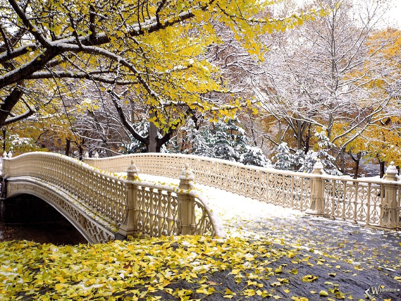 131958 скачать картинку снег, осень, природа, листья, парк, мост - обои и заставки бесплатно