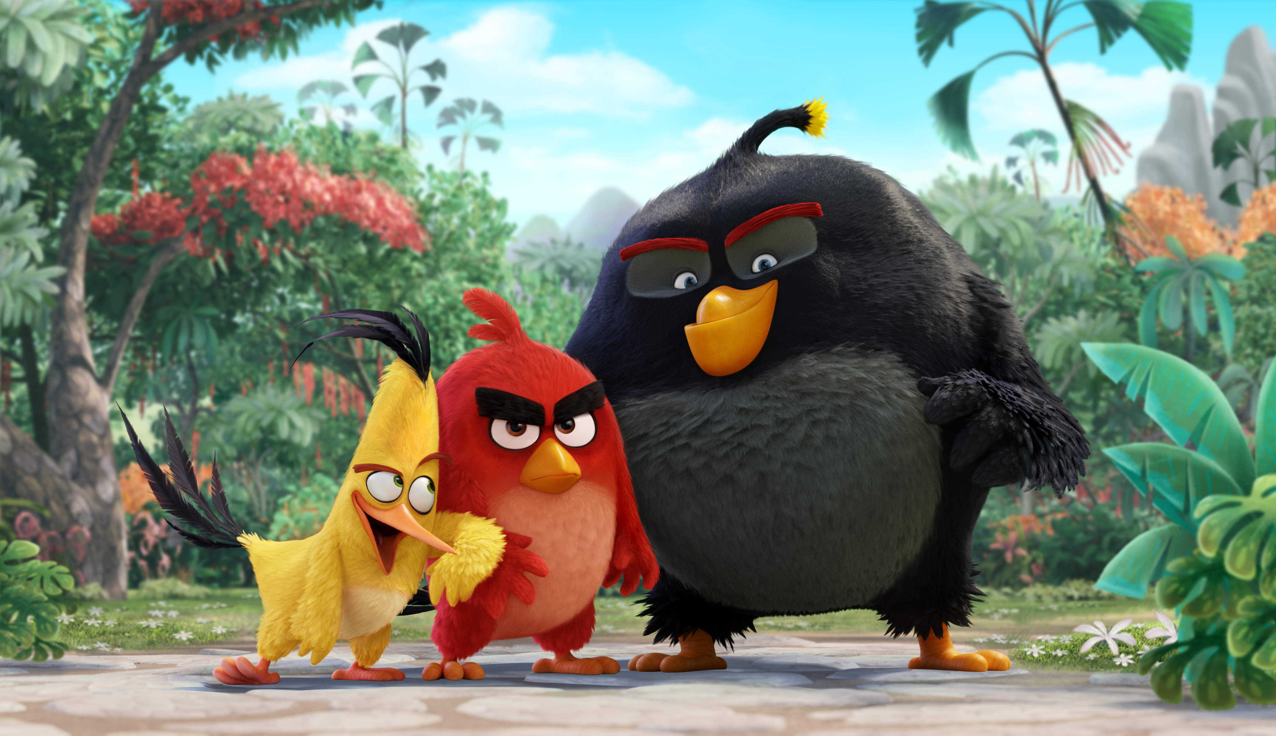 367785 télécharger le fond d'écran film, angry birds: le film, angry birds - économiseurs d'écran et images gratuitement