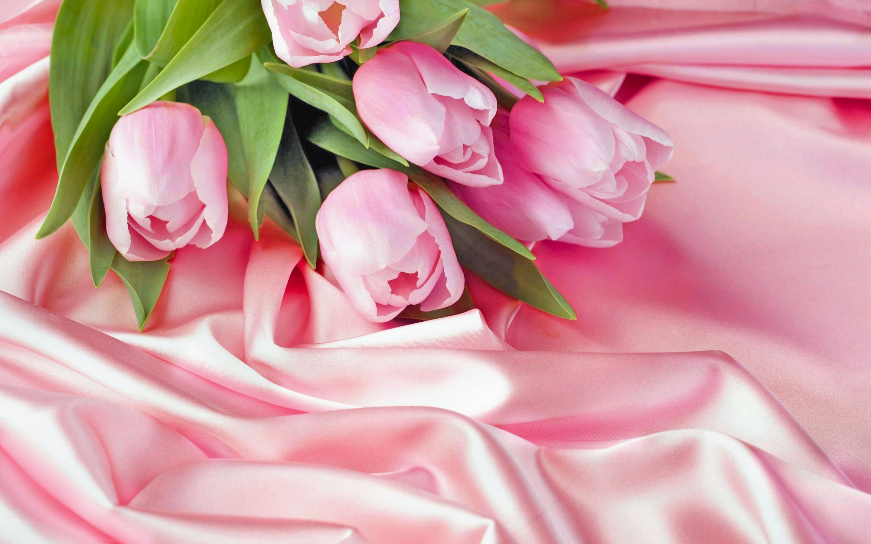 326738 завантажити шпалери весна, тюльпан, флауерзи, земля, квітка, пастель, рожева квітка - заставки і картинки безкоштовно