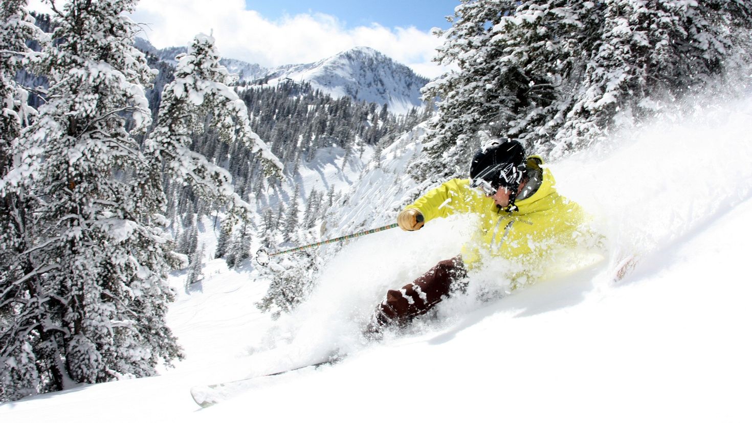 See ski. Спуск на горных лыжах. Горы лыжи. Зима спорт. Спуск с горы.