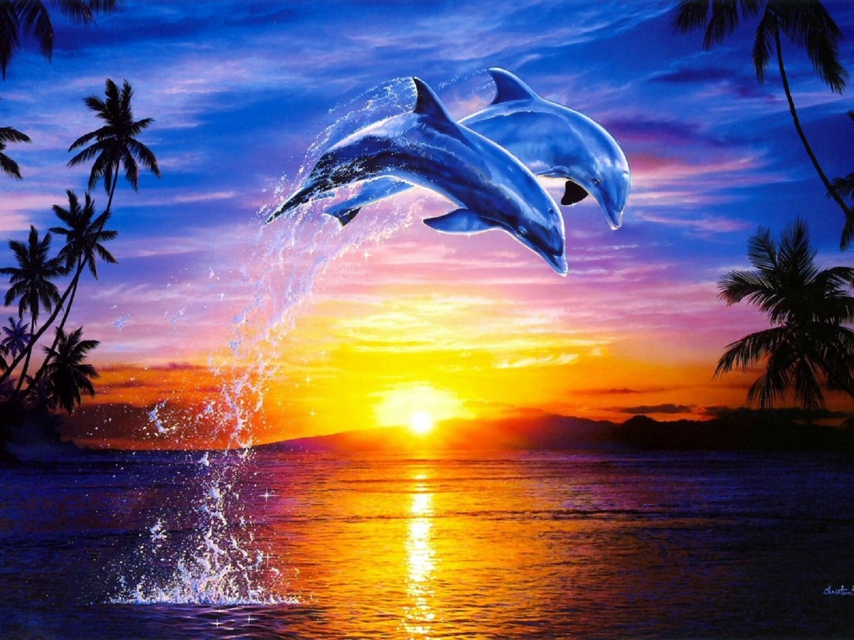 Handy-Wallpaper Tiere, Ozean, Palme, Sonnenaufgang, Tropisch, Delfin kostenlos herunterladen.
