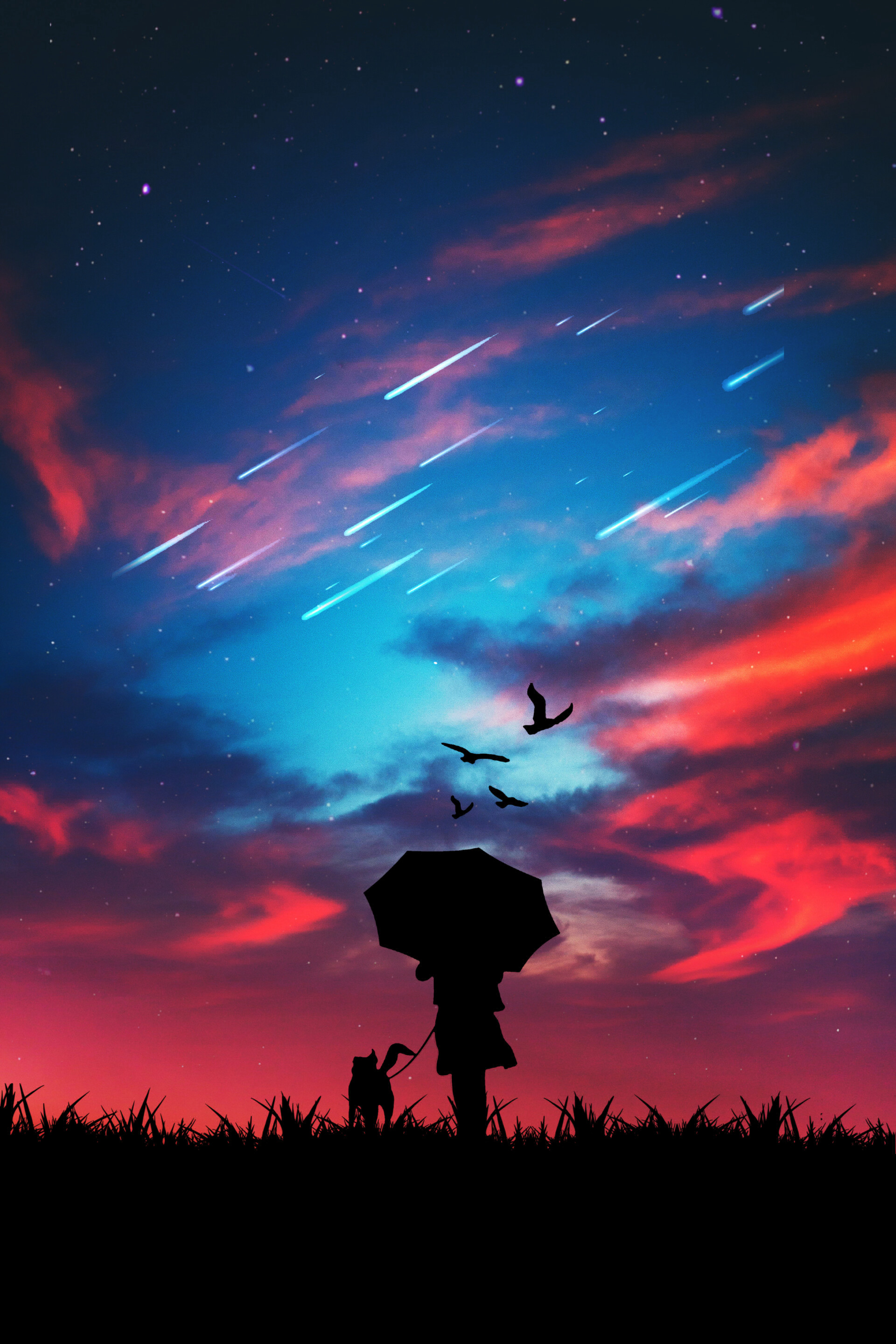 starfall, stroll, sky, dark, bright, silhouette High Definition image