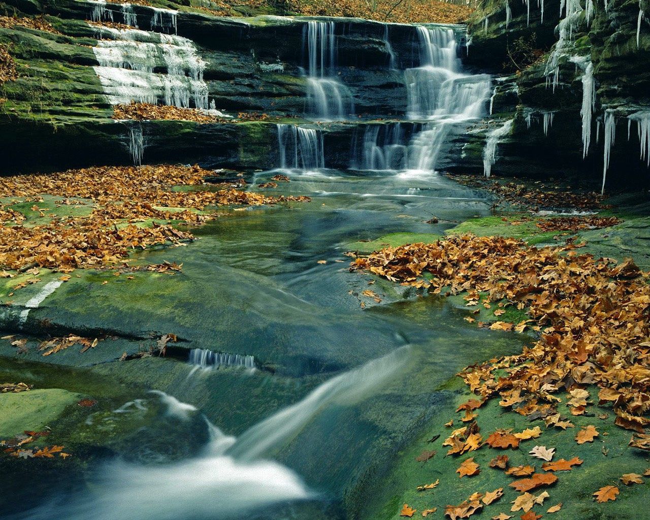 nature, autumn, waterfall, cascades