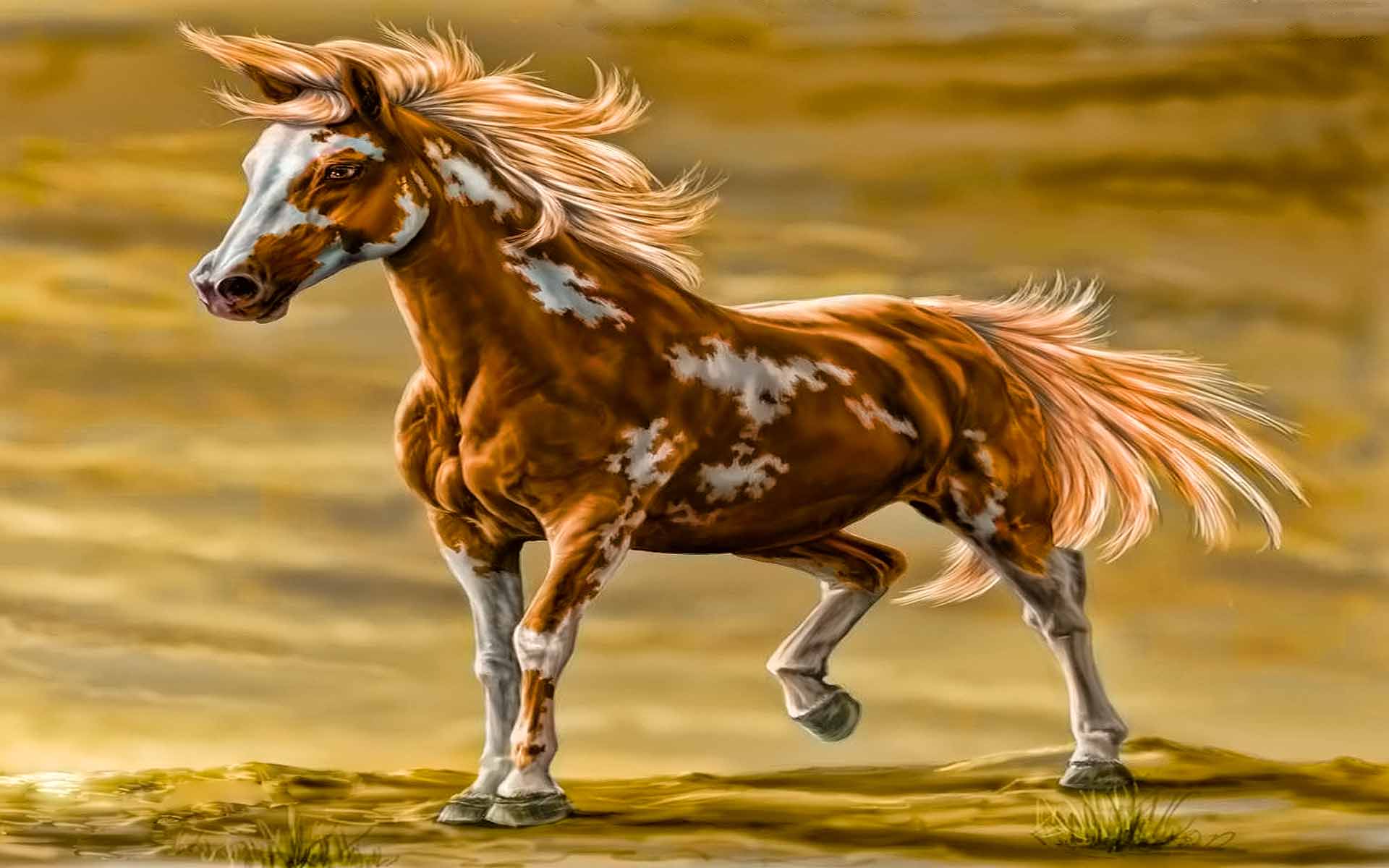Картина Мустанг конь