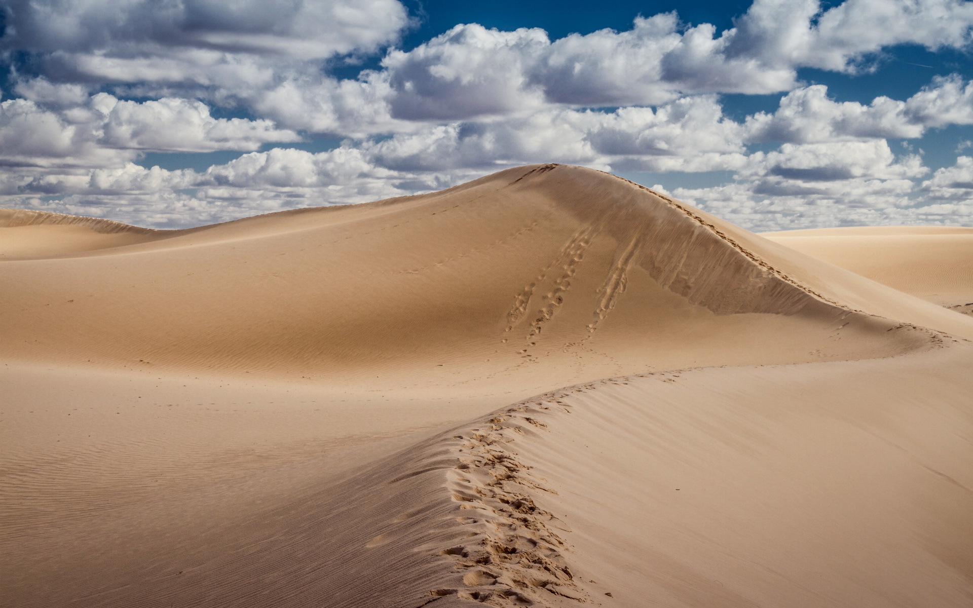 Пустыня для фотошопа