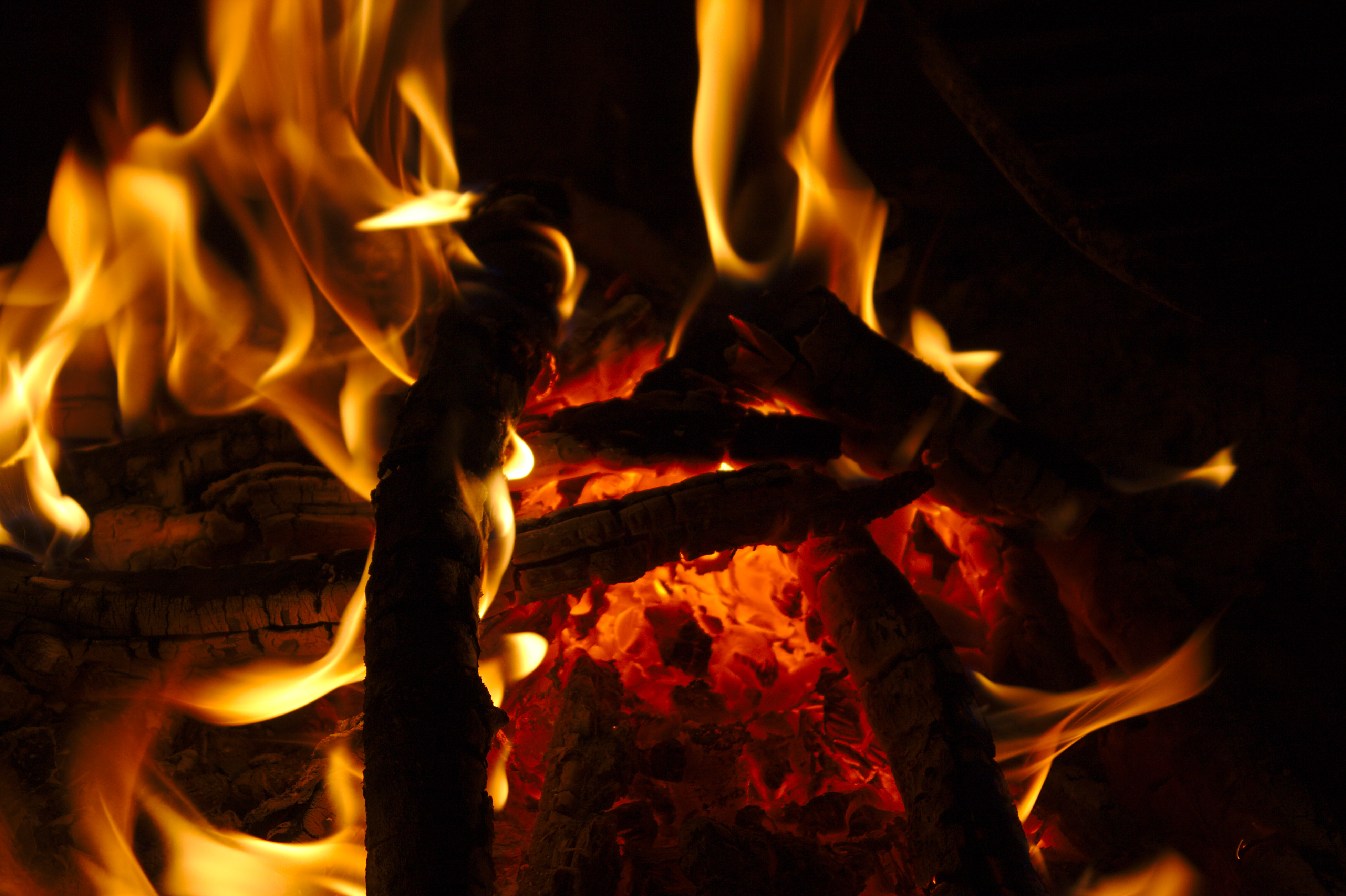 firewood, fire, bonfire, coals, dark, flame