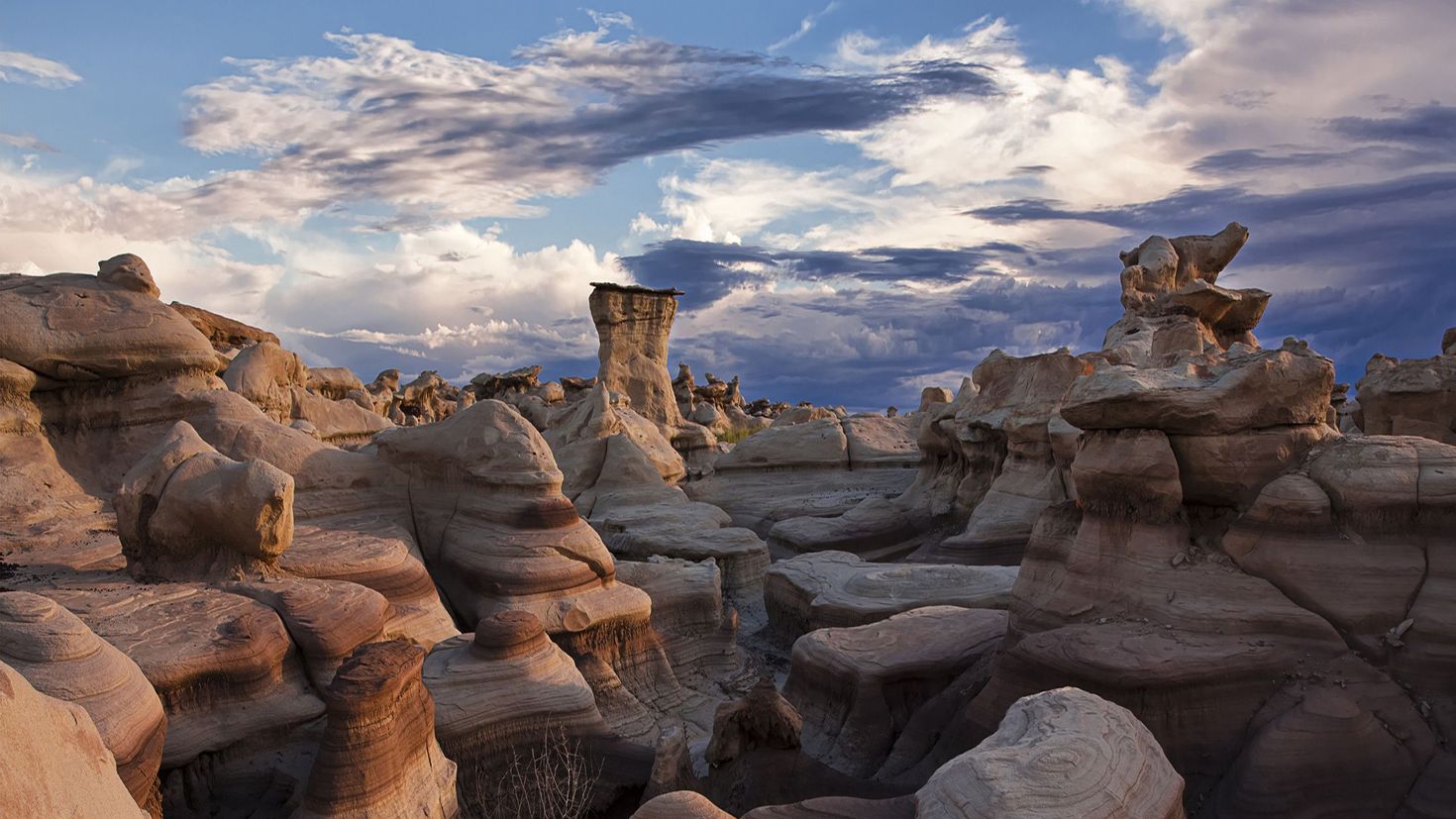 Формы природы. Каменные грибы Аризона США. Скалы. Скалистые камни. Причудливые пейзажи.