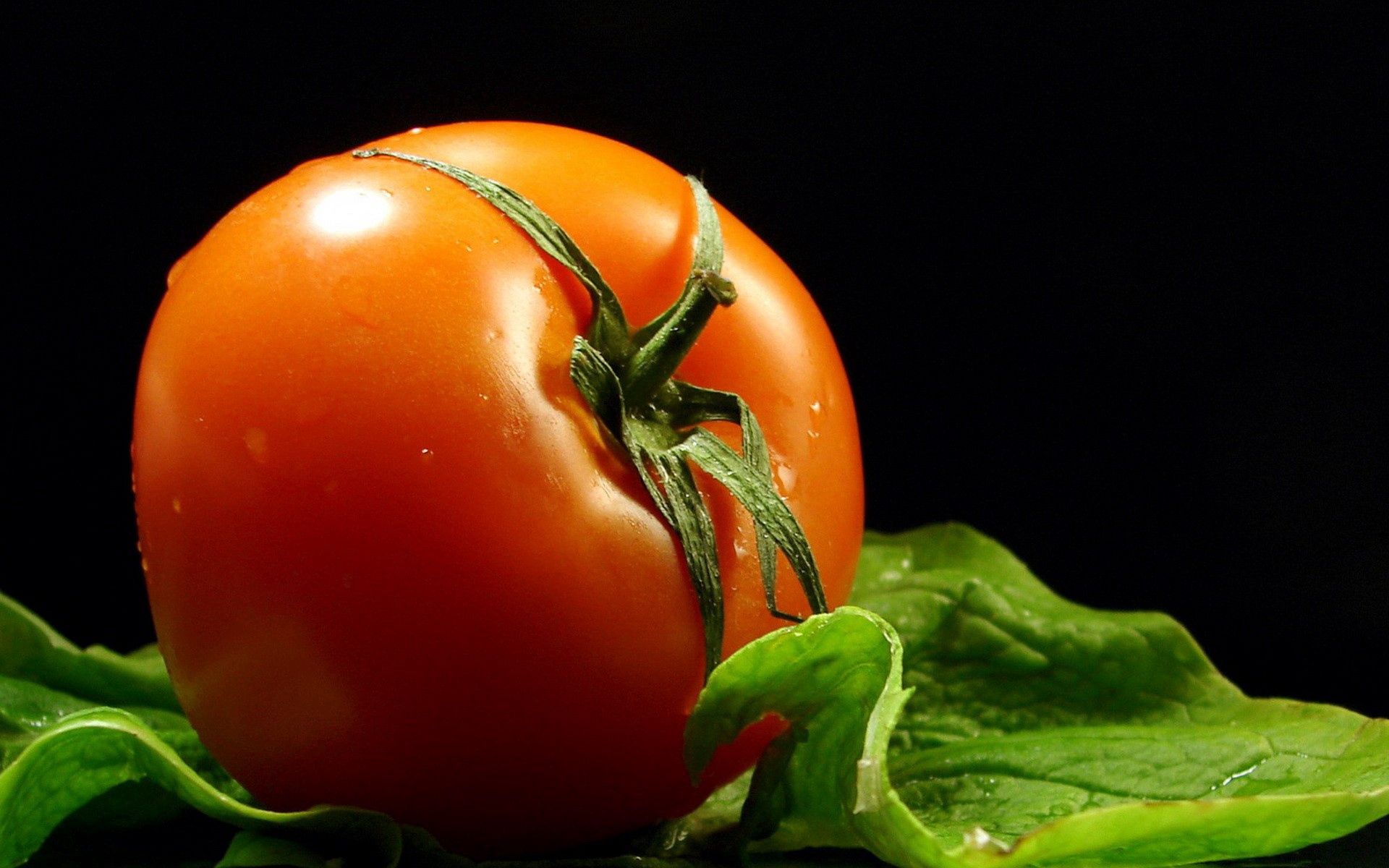 Cool Tomato HD Wallpaper