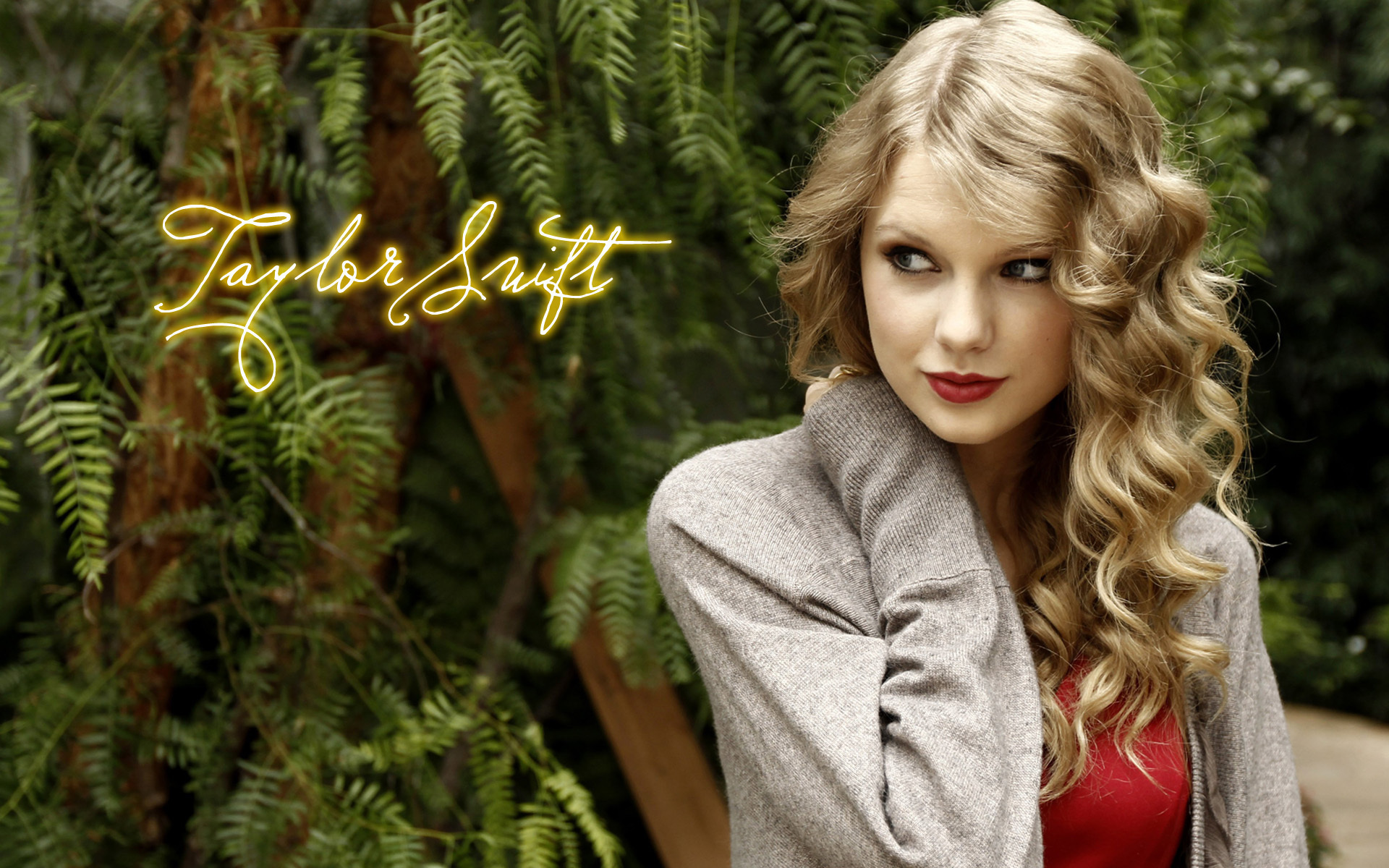 Taylor Swift Wallpapers 77 pictures