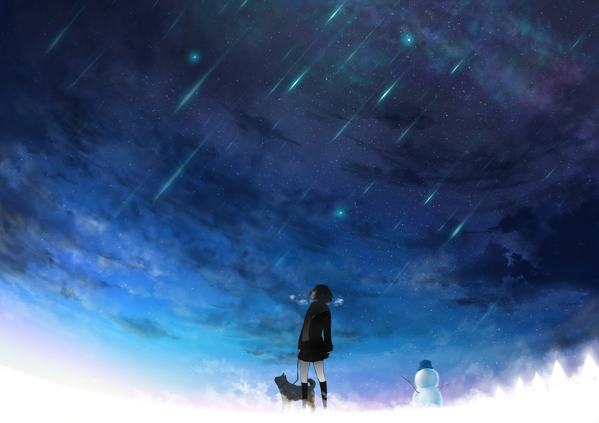 ice, anime, original, dog, meteor, sky, stars, winter
