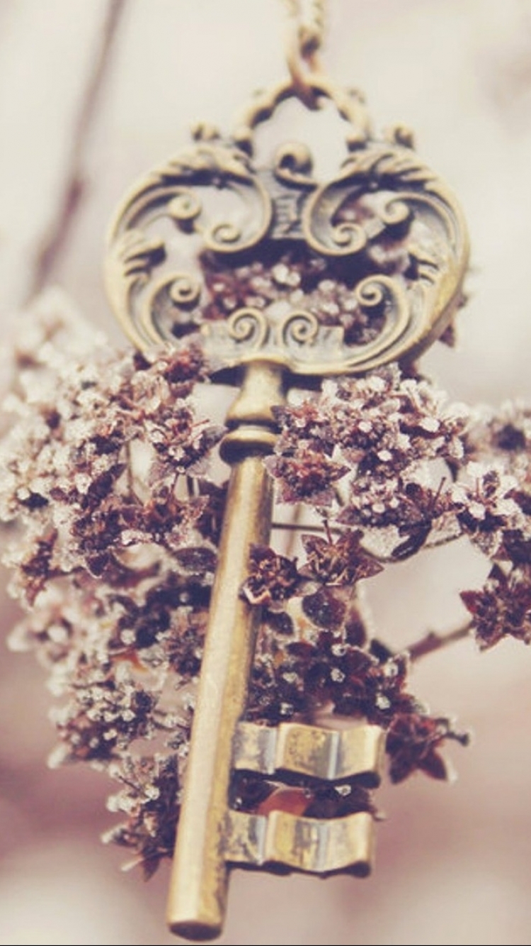 Красивые ключи и цветы