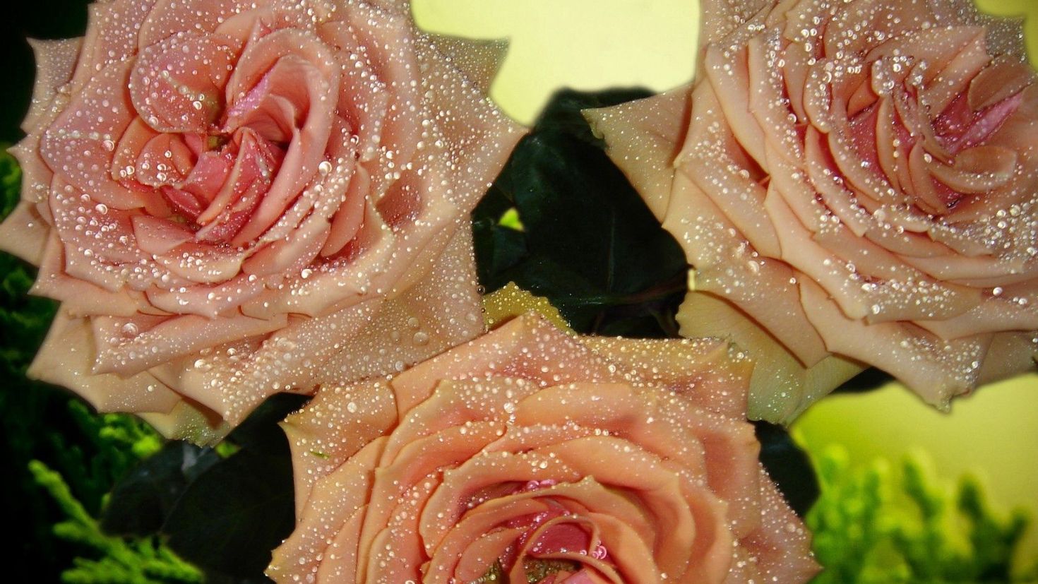 Букет роз с блестками