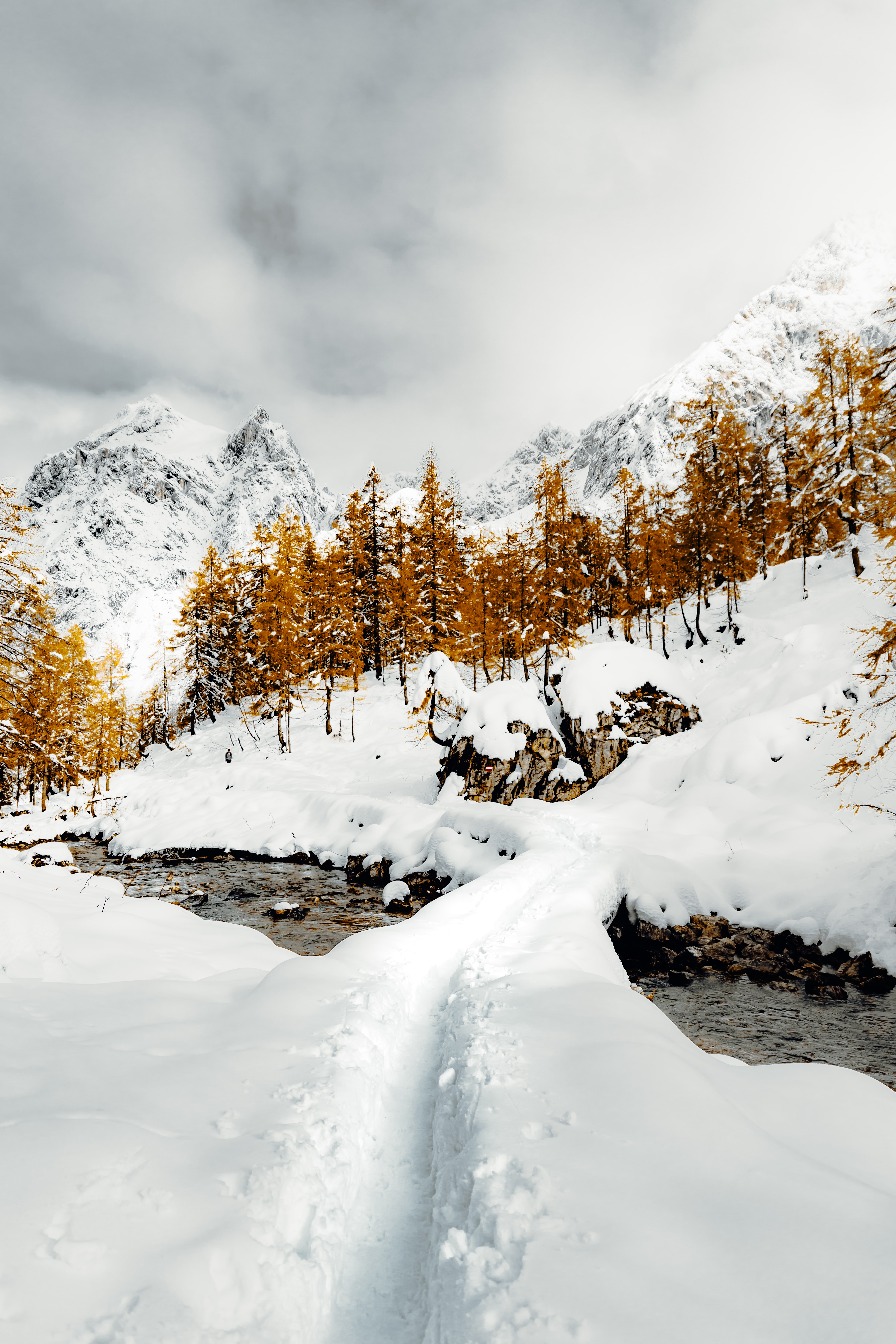 winter, nature, trees, mountains, snow, path, creek, brook