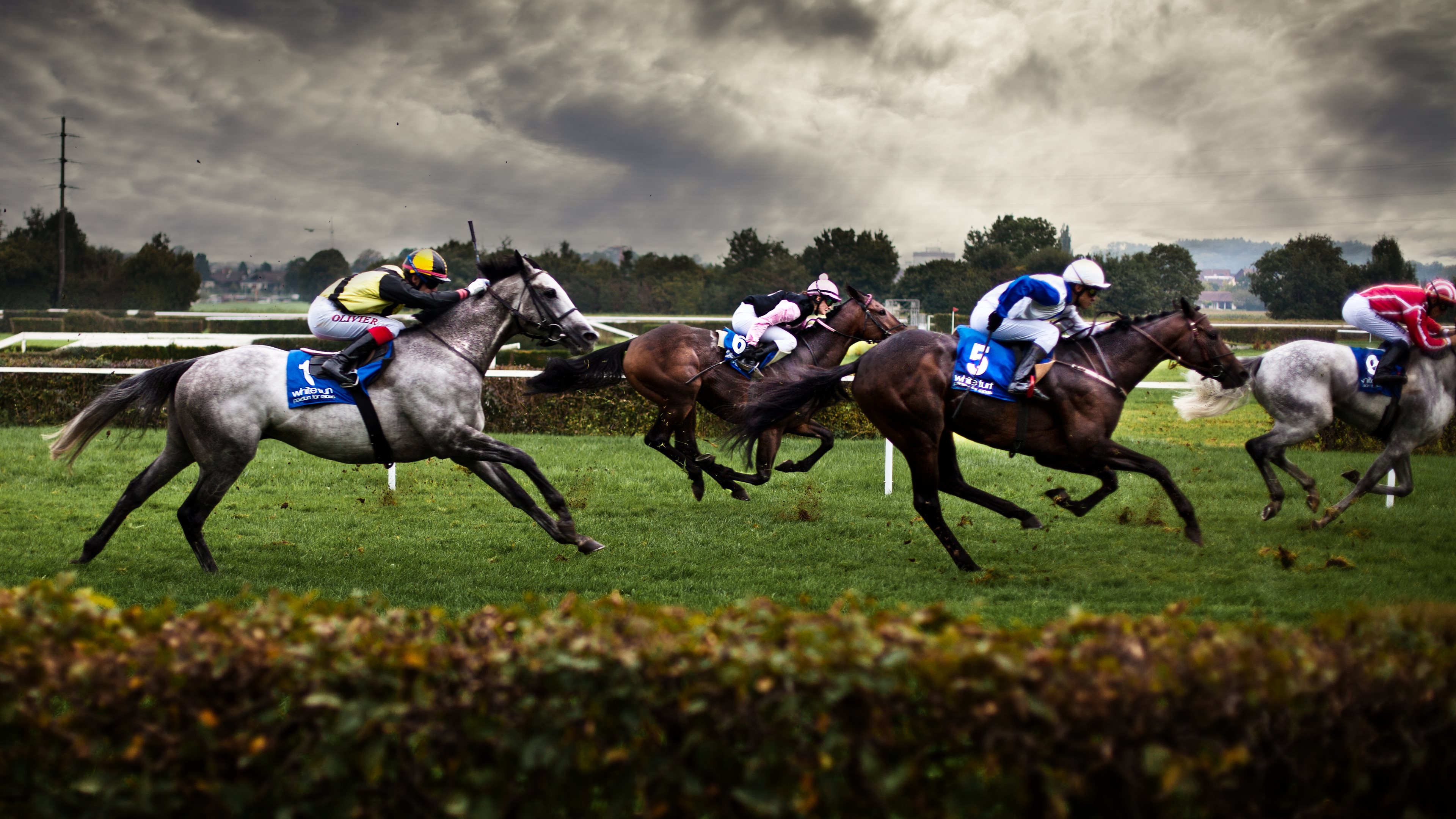 horse racing, horse, sports, racing High Definition image