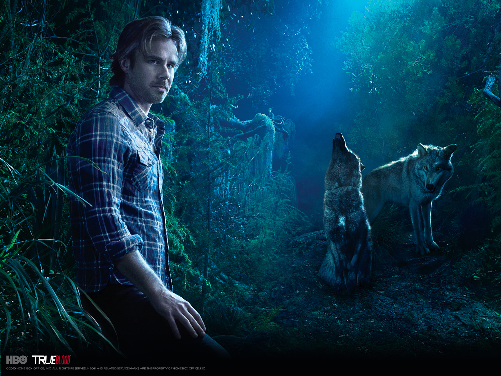 tv show, true blood, wolf High Definition image