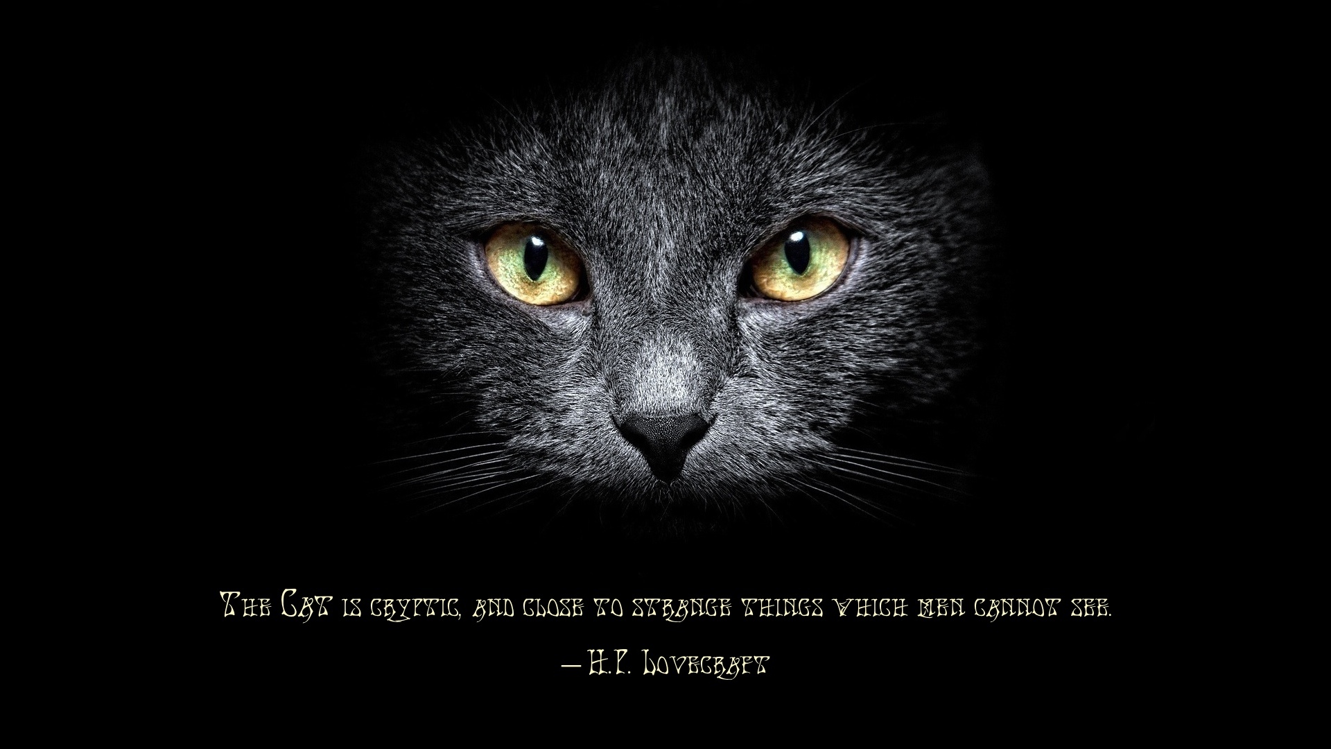 h p lovecraft, misc, quote, cat cellphone