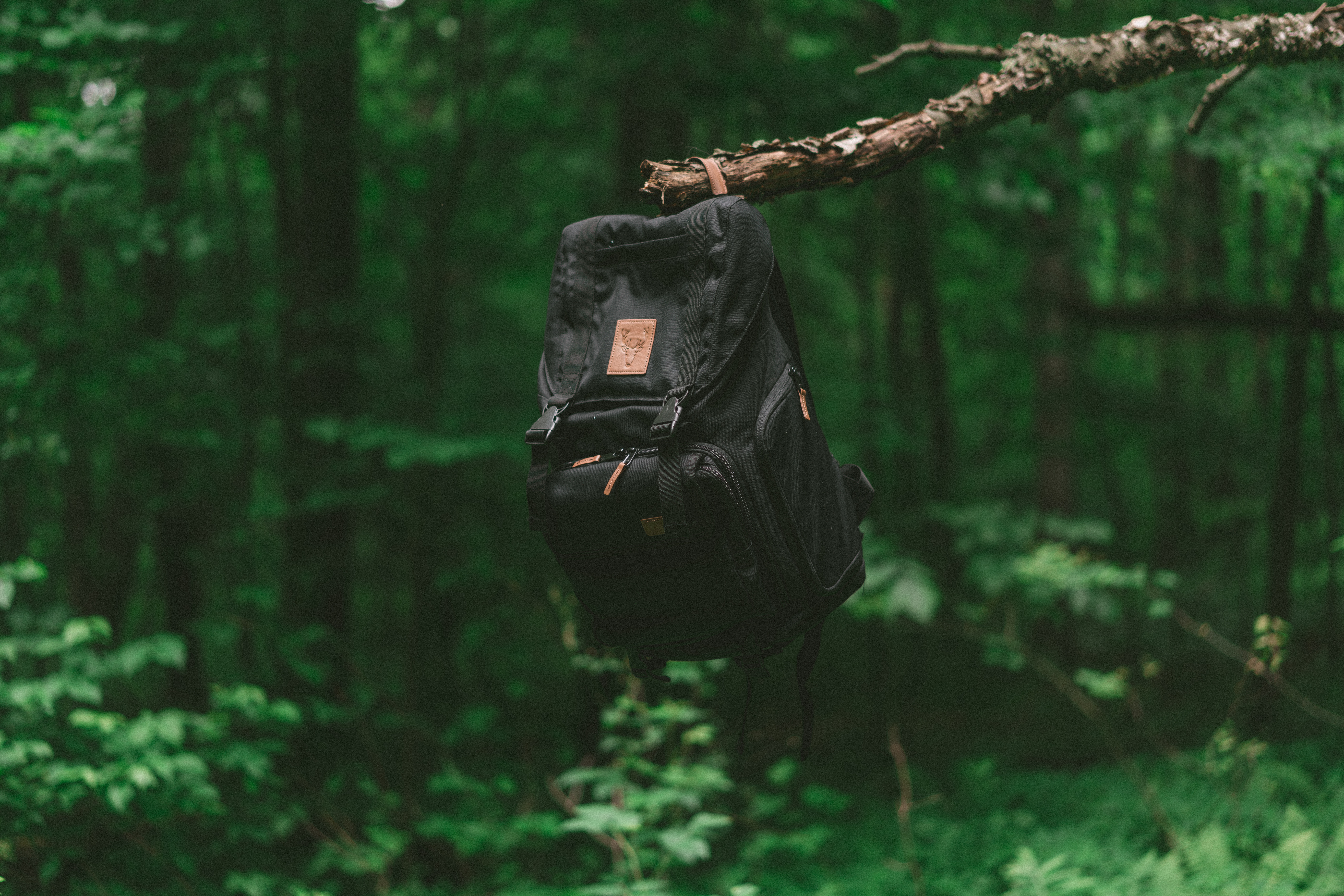 backpack, miscellanea, miscellaneous, forest, branch, journey, rucksack HD wallpaper