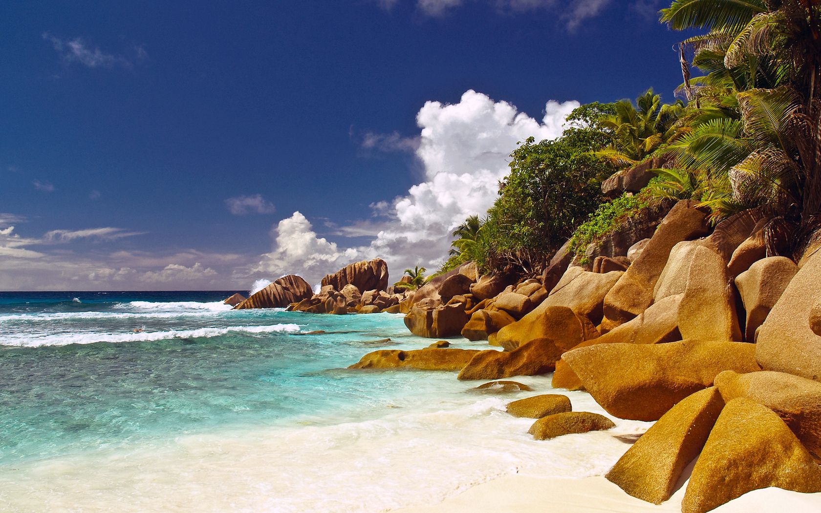 palms, blue water, stones, beach, nature, shore, bank, tropics, boulders