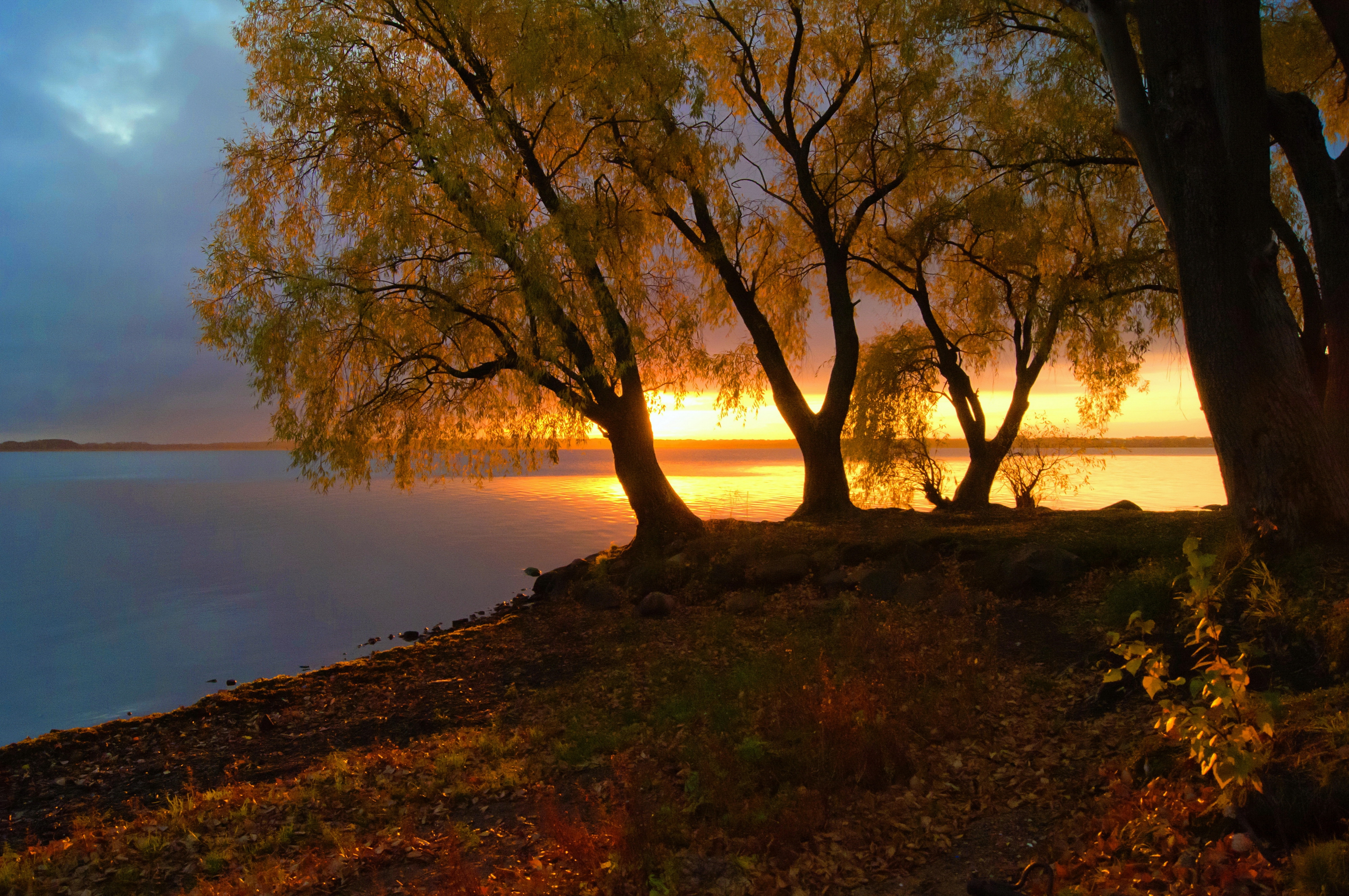 Осенний берег реки закат