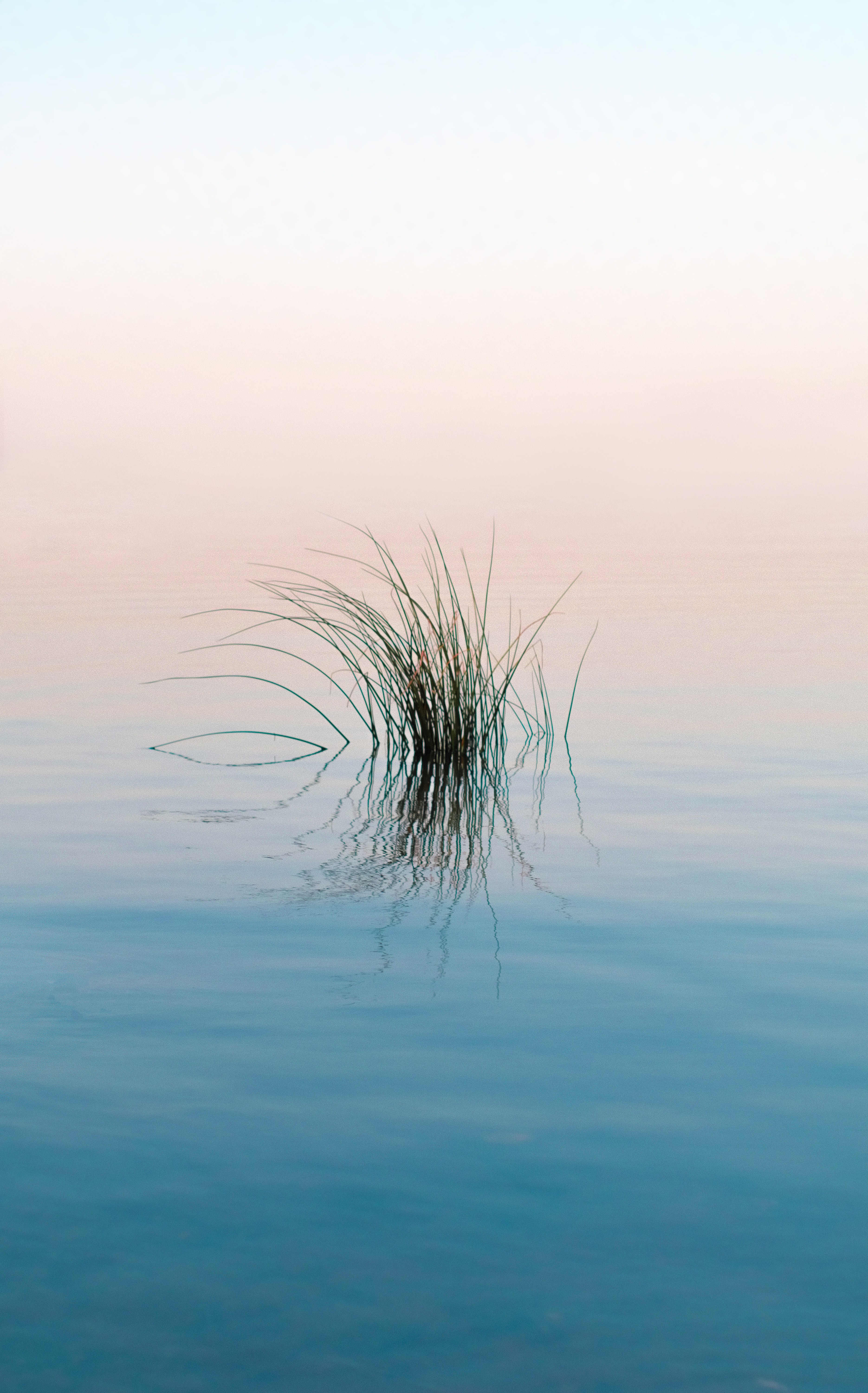 nature, water, rivers, grass, reflection, ripples, ripple HD wallpaper