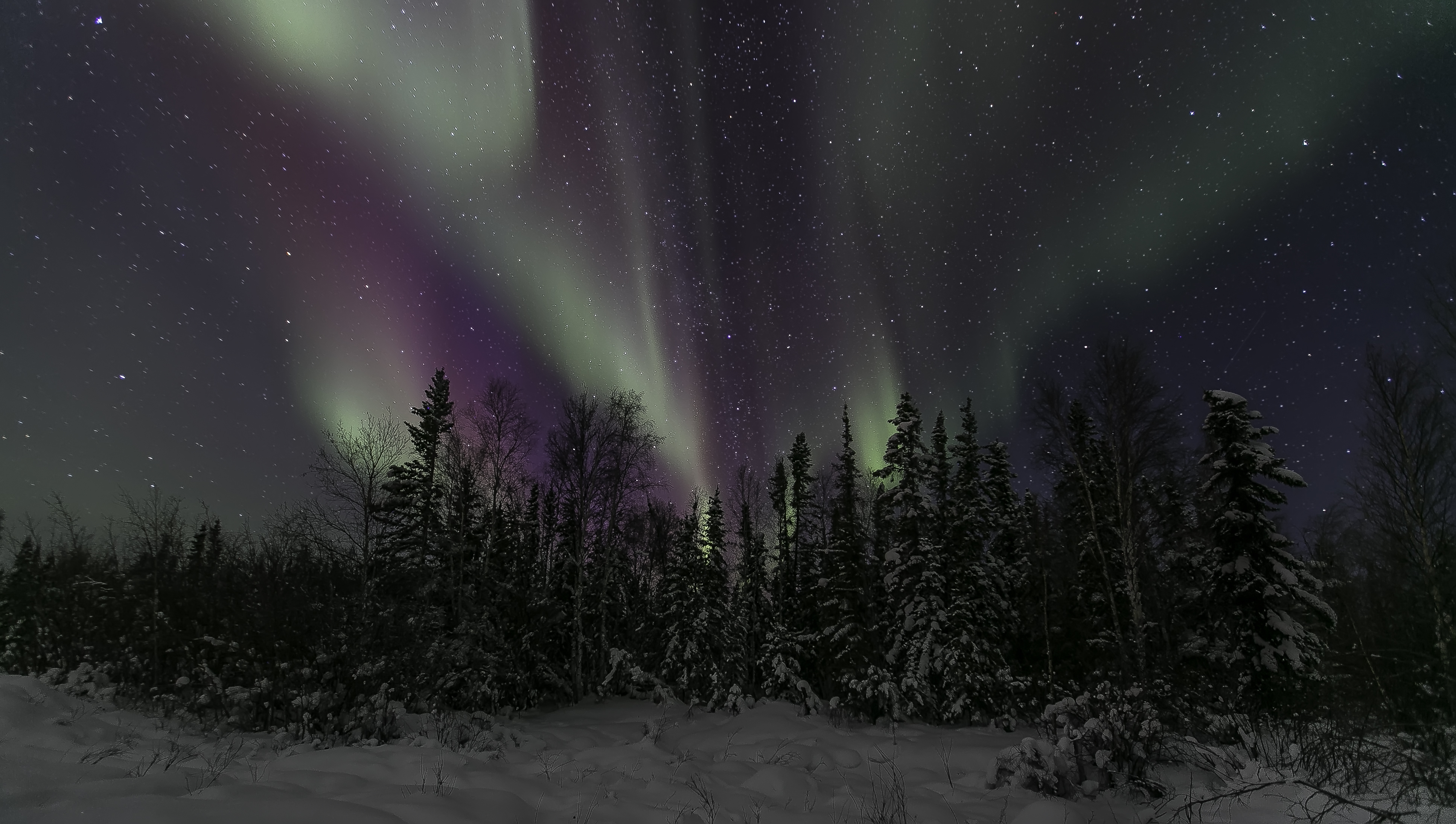 nature, earth, aurora borealis, night, sky, start, winter 2160p