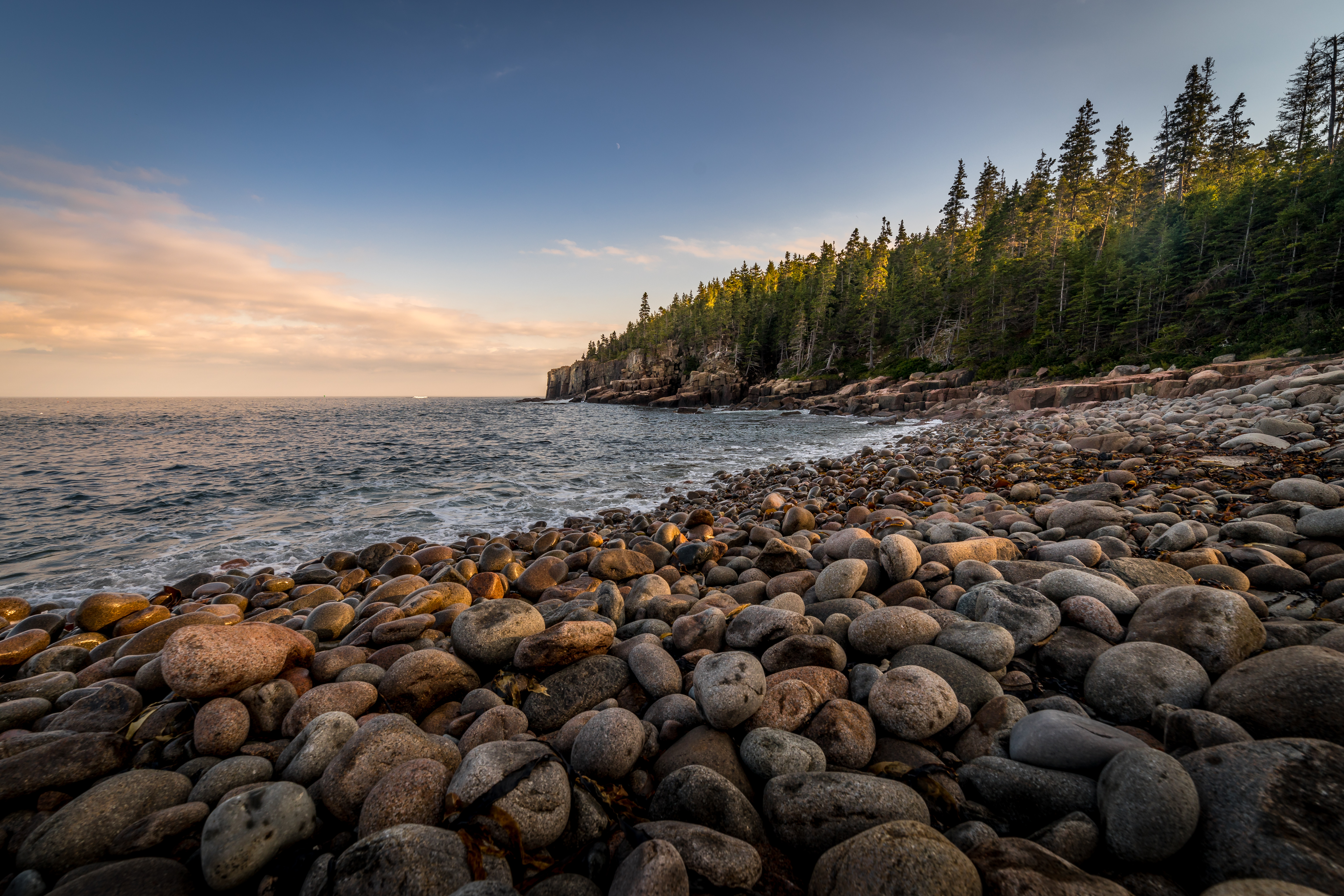 sea, rocks, stones, forest, nature, shore, bank Smartphone Background