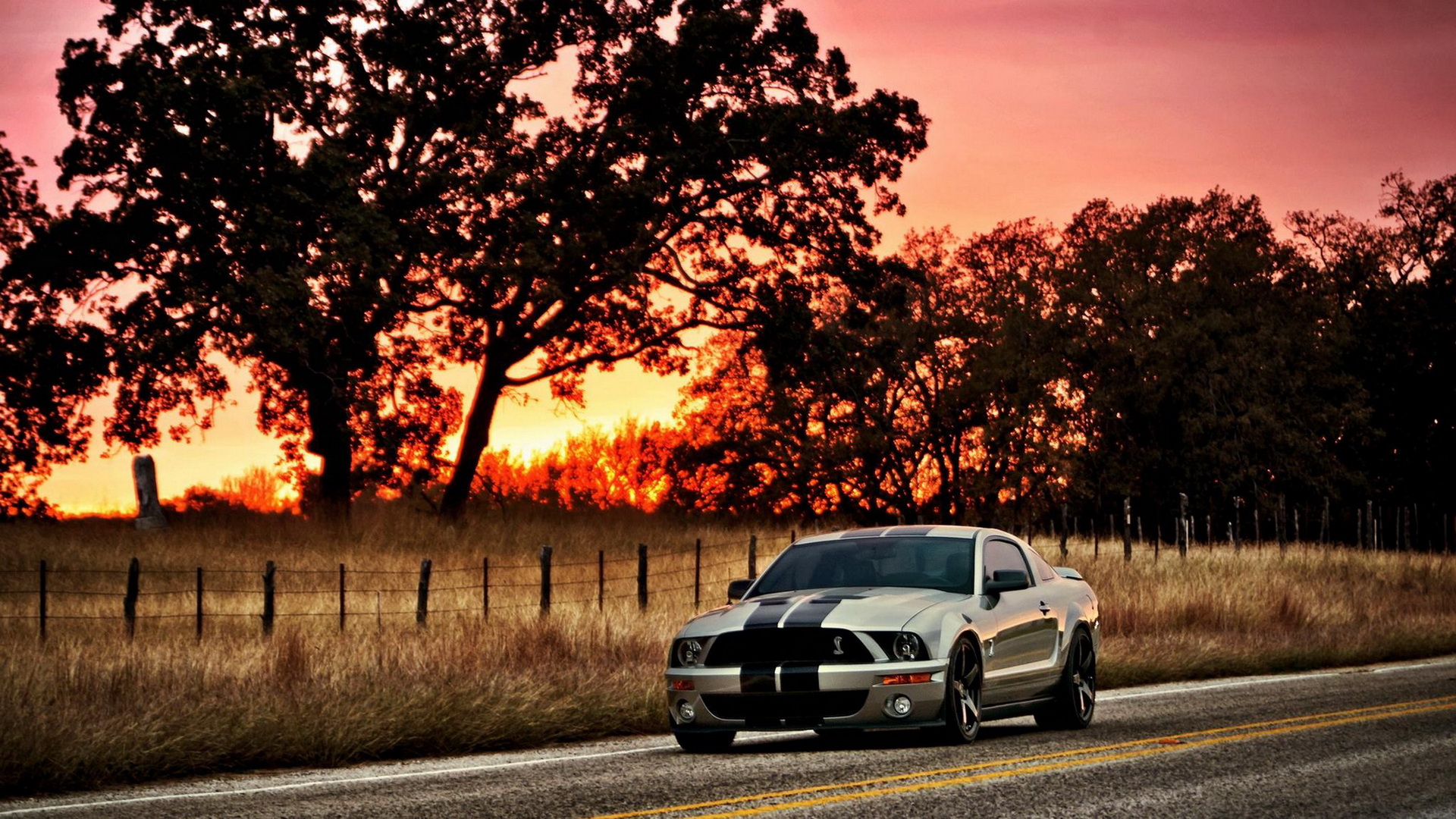 Ford Mustang gt500 Shelby на закате