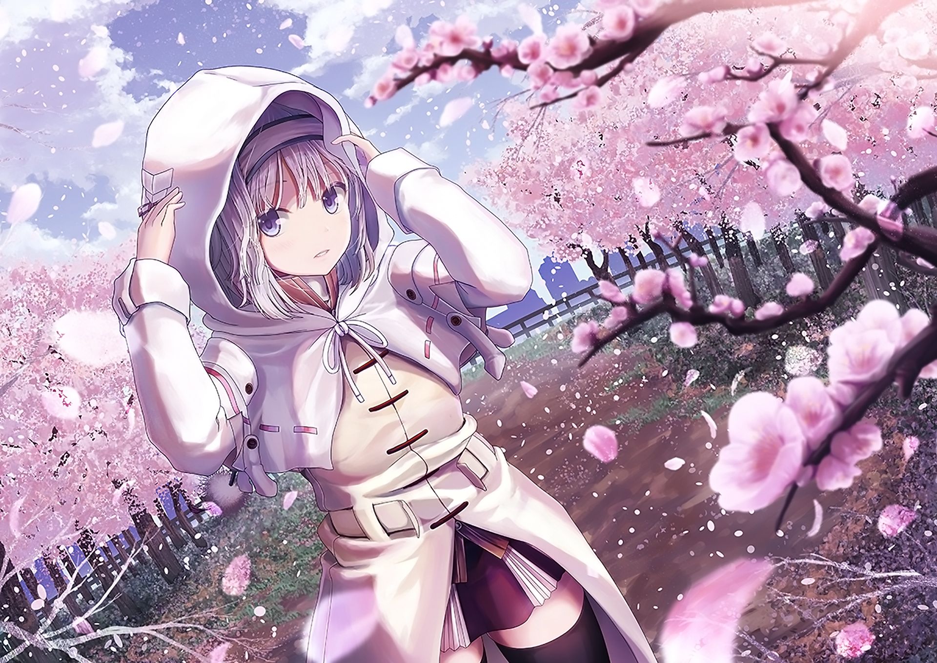 Download mobile wallpaper Anime, Hoodie, Dress, Cherry Blossom, Original, White Hair for free.