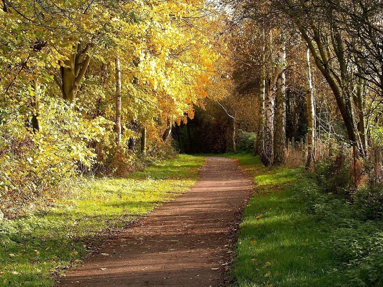 Download mobile wallpaper Roads, Landscape, Trees, Autumn for free.