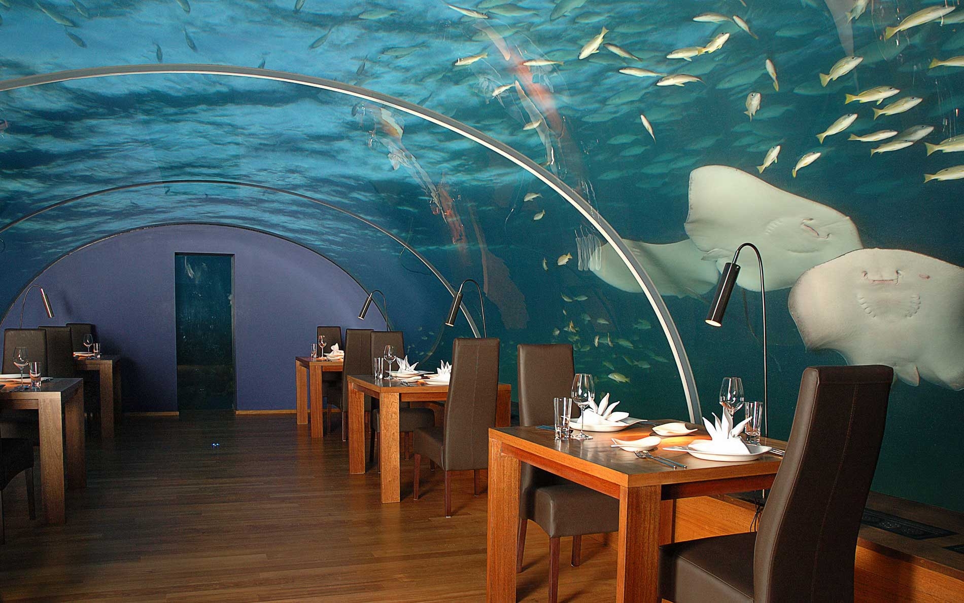 tropics, miscellanea, miscellaneous, maldives, underwater restaurant phone background
