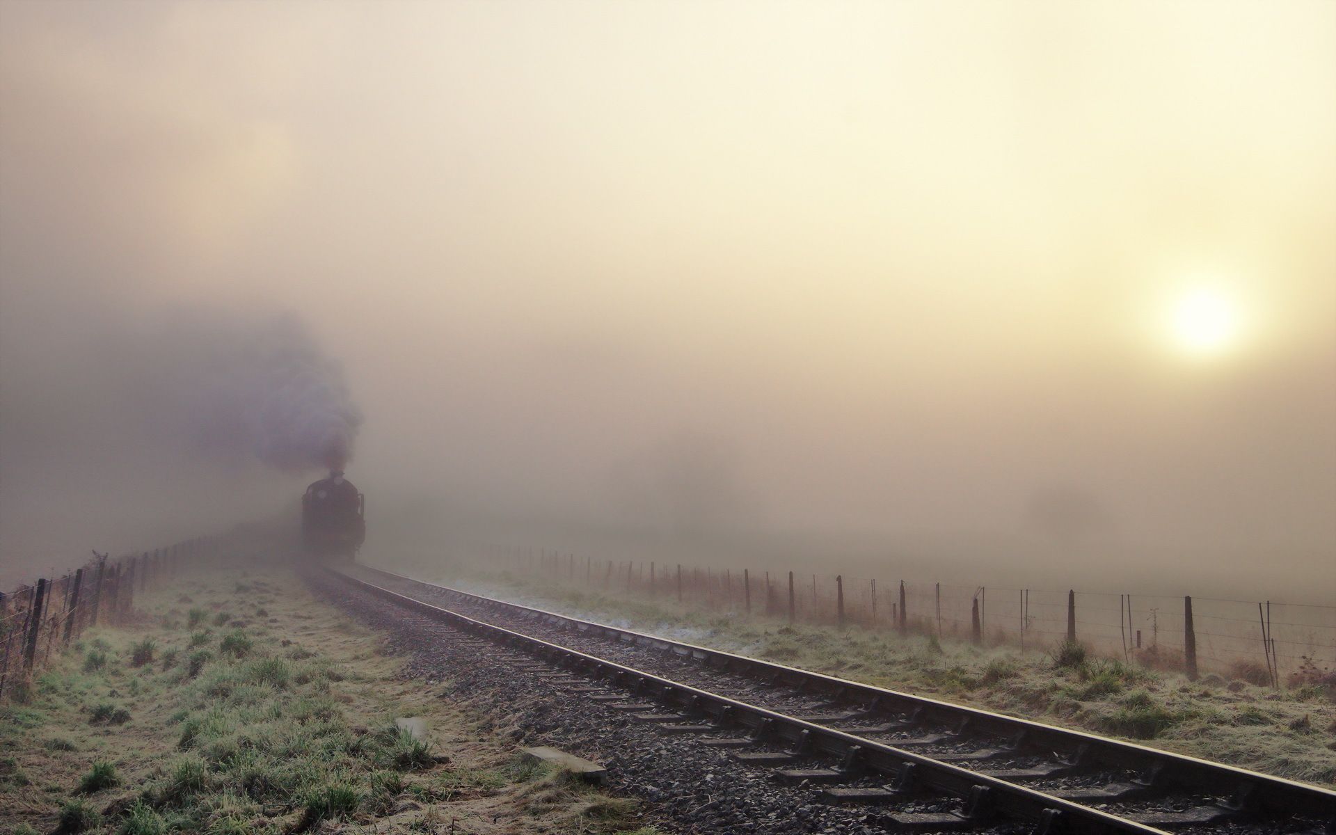 train, vehicles, fog, locomotive, railroad, steam train phone background