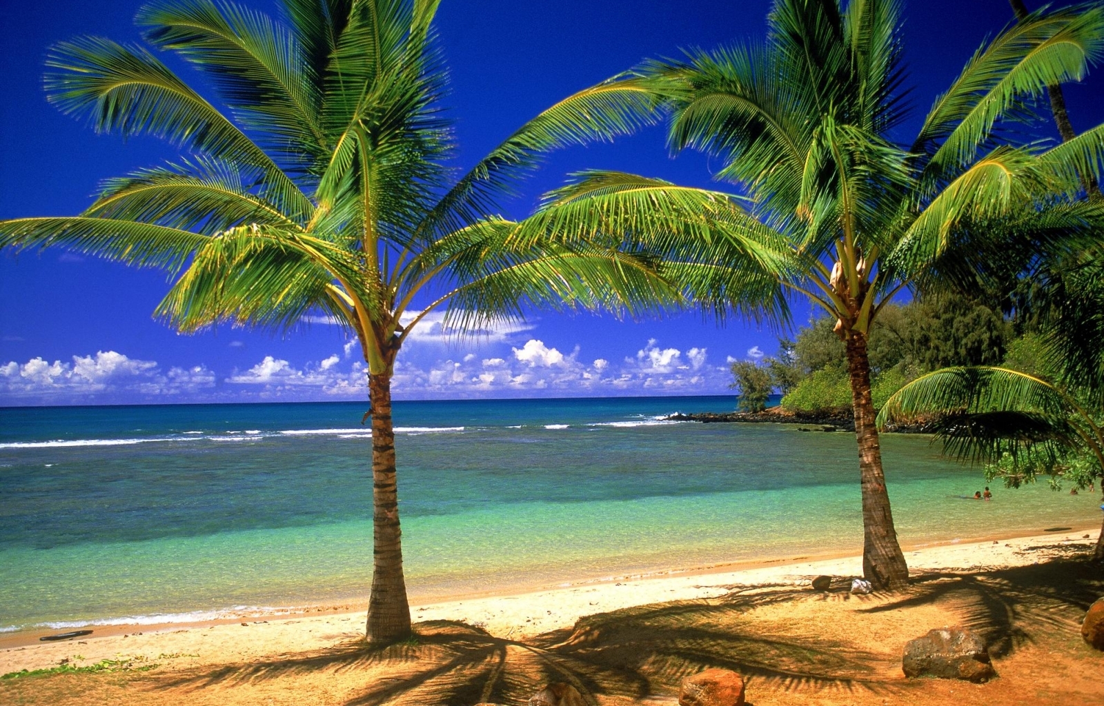 28003 завантажити шпалери пляж, пейзаж, море, пальми - заставки і картинки безкоштовно