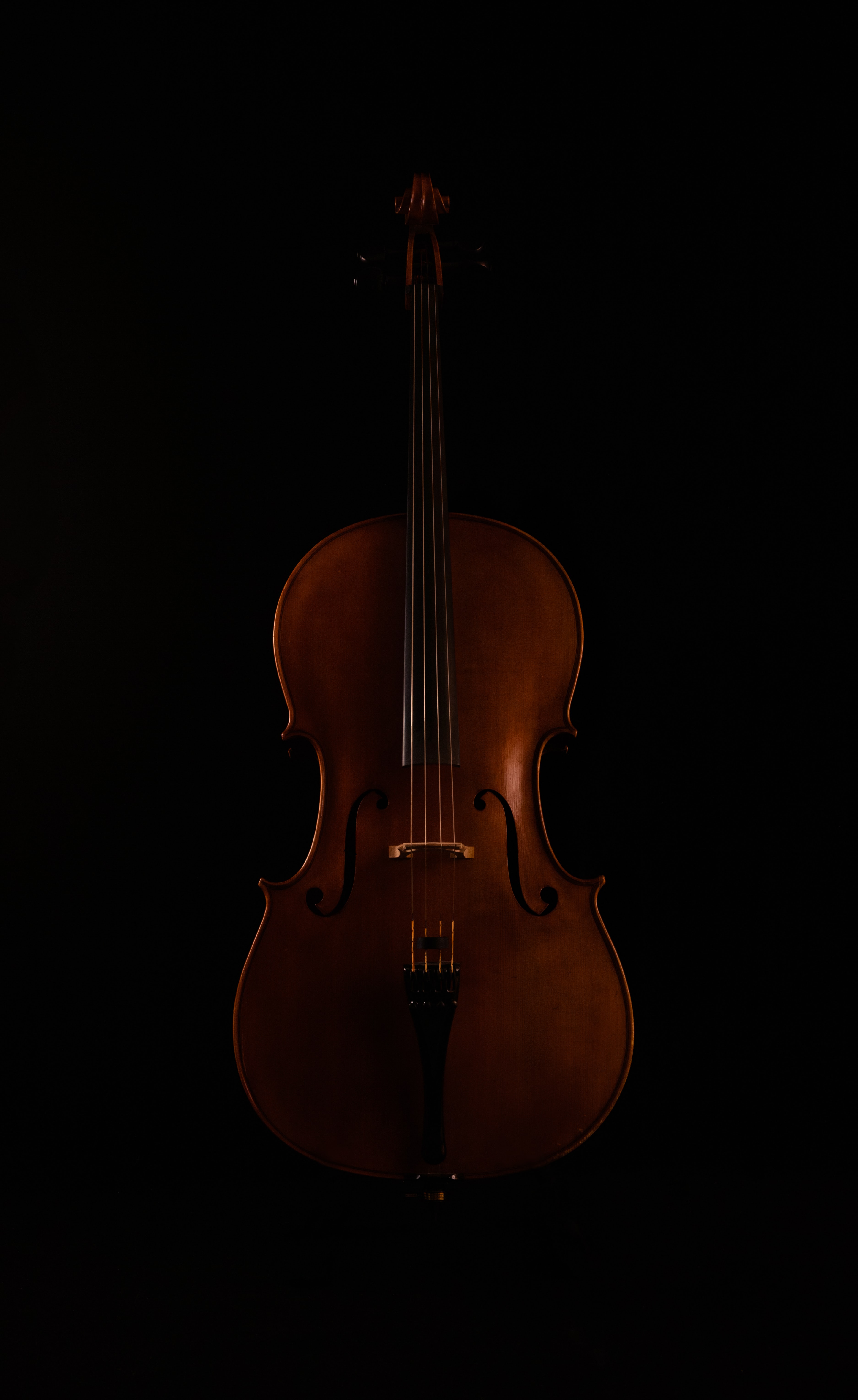 136117 Bild herunterladen musikinstrument, musik, dunkel, violine - Hintergrundbilder und Bildschirmschoner kostenlos